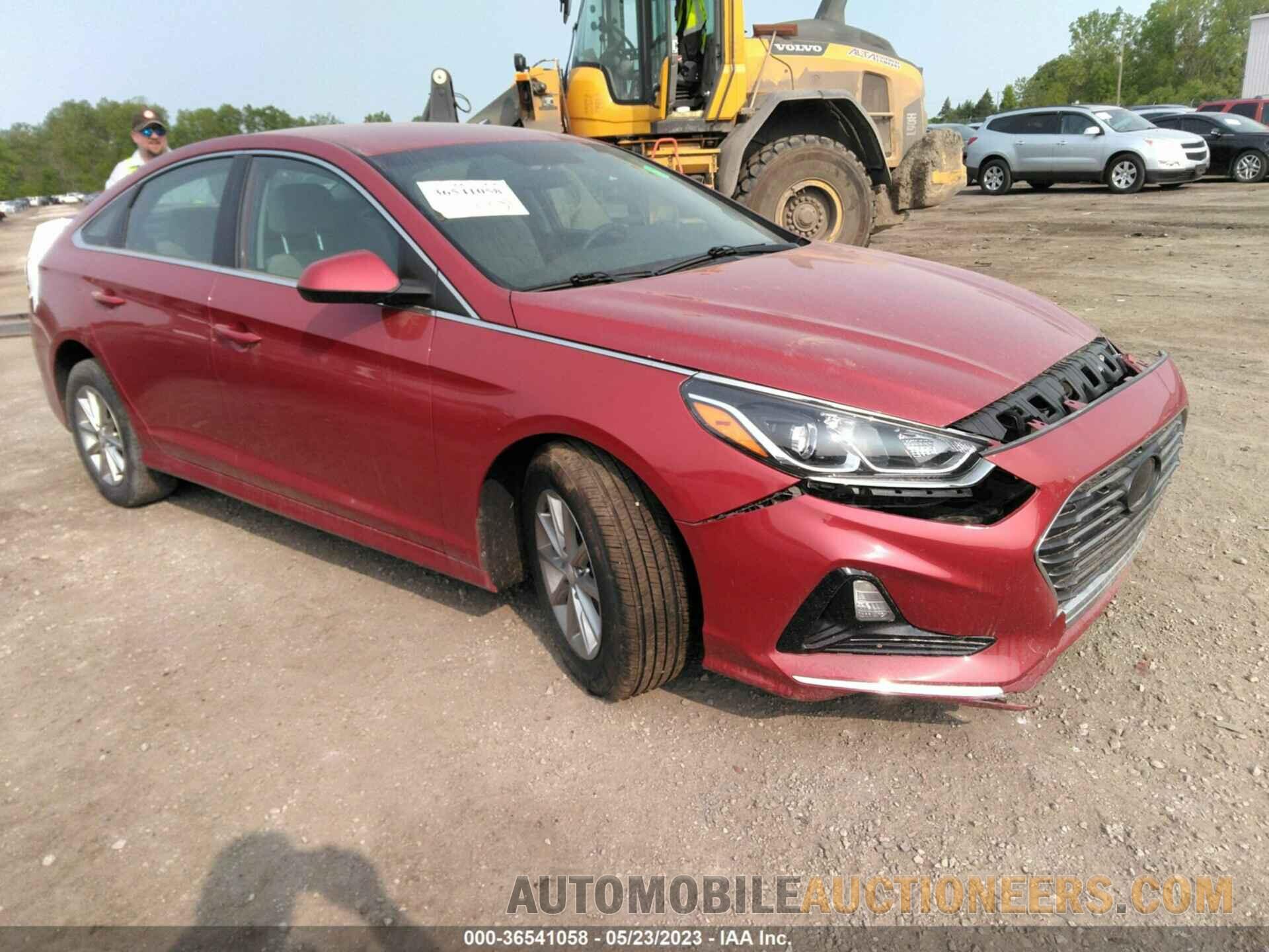 5NPE24AF1KH744237 HYUNDAI SONATA 2019