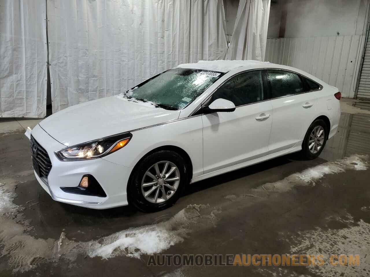 5NPE24AF1KH795365 HYUNDAI SONATA 2019