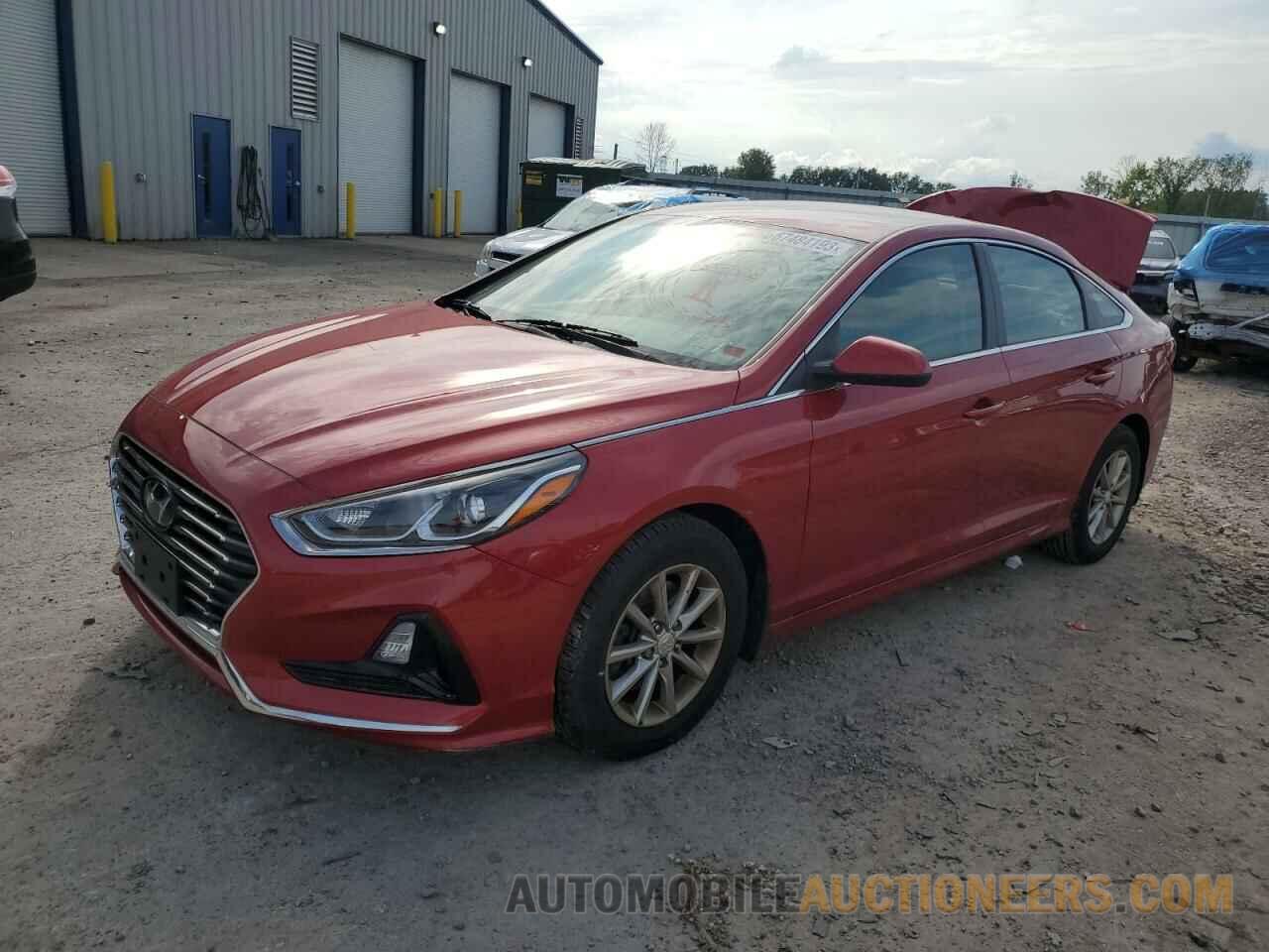 5NPE24AF1KH795978 HYUNDAI SONATA 2019