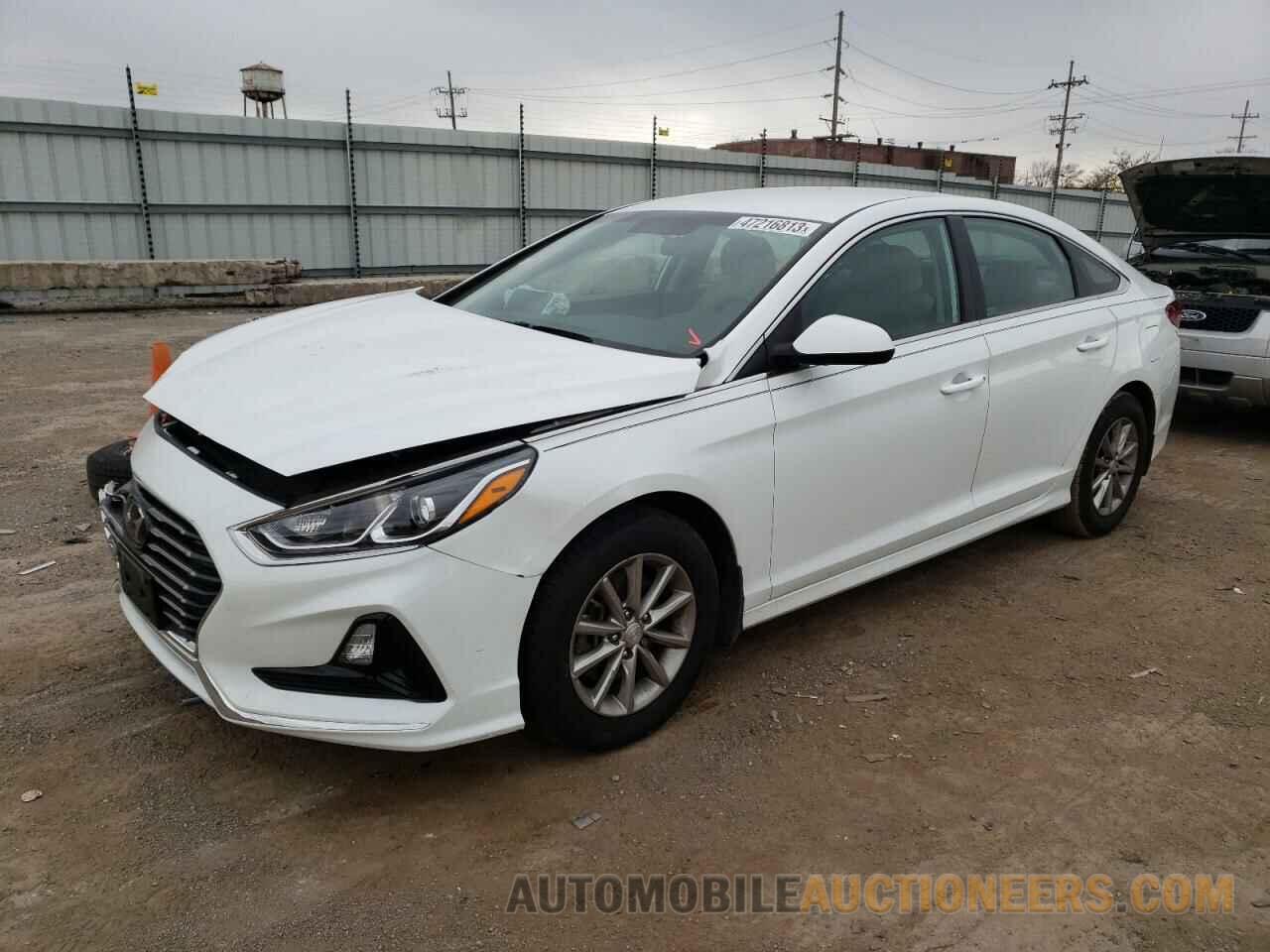 5NPE24AF1KH797990 HYUNDAI SONATA 2019