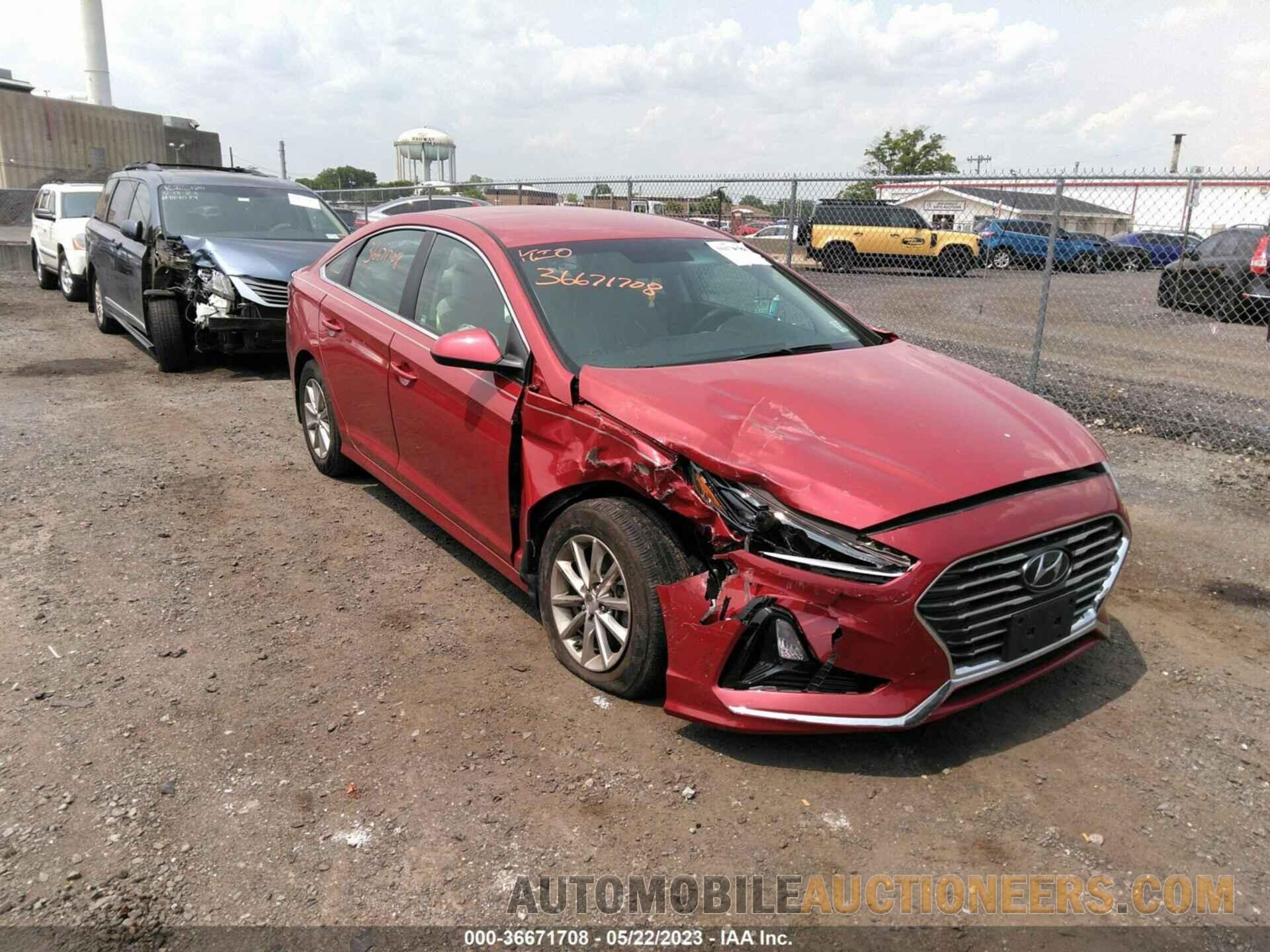 5NPE24AF1KH804324 HYUNDAI SONATA 2019