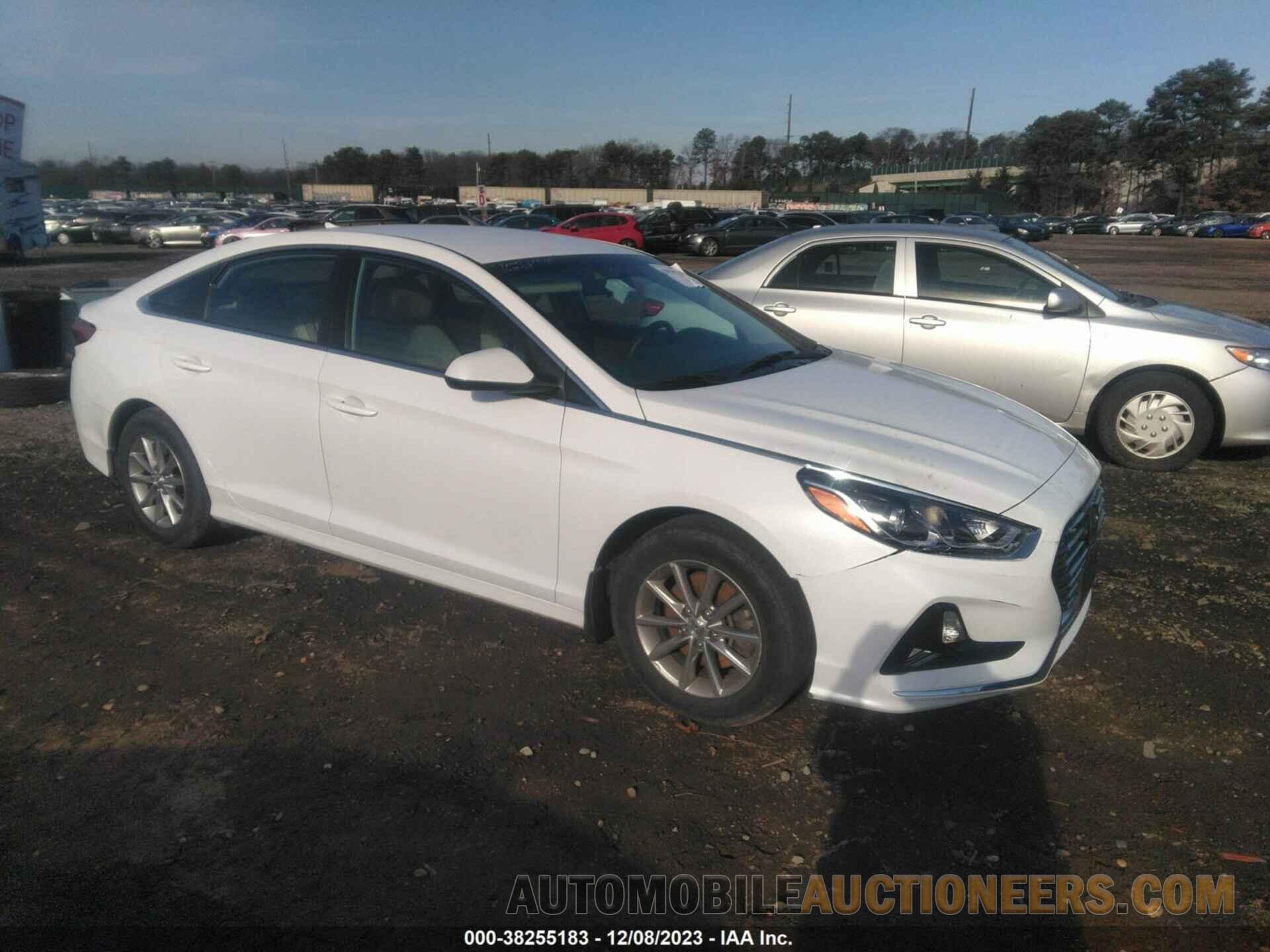 5NPE24AF1KH806607 HYUNDAI SONATA 2019