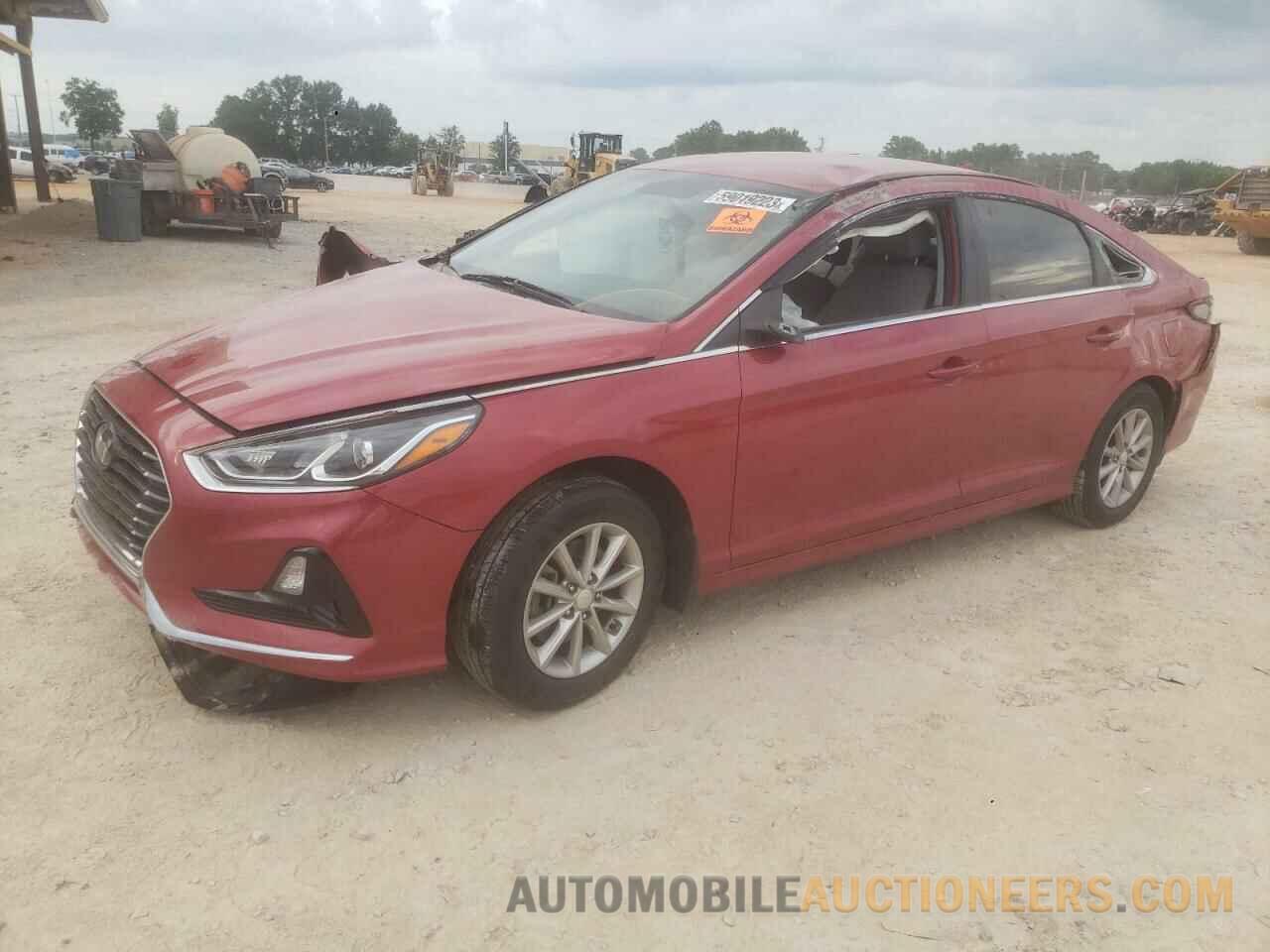 5NPE24AF1KH810558 HYUNDAI SONATA 2019