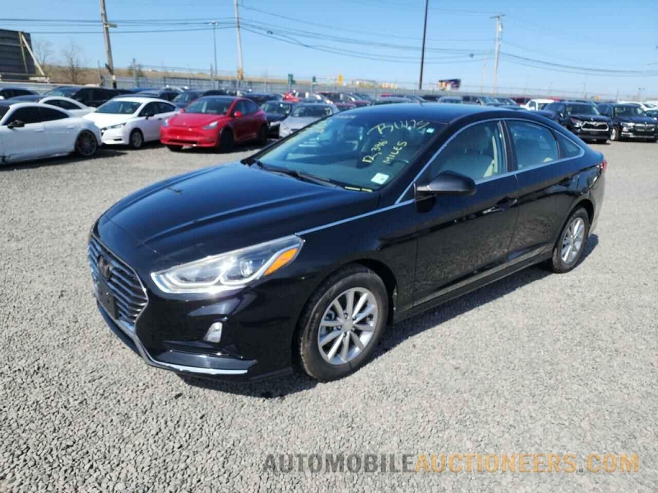 5NPE24AF1KH813864 HYUNDAI SONATA 2019