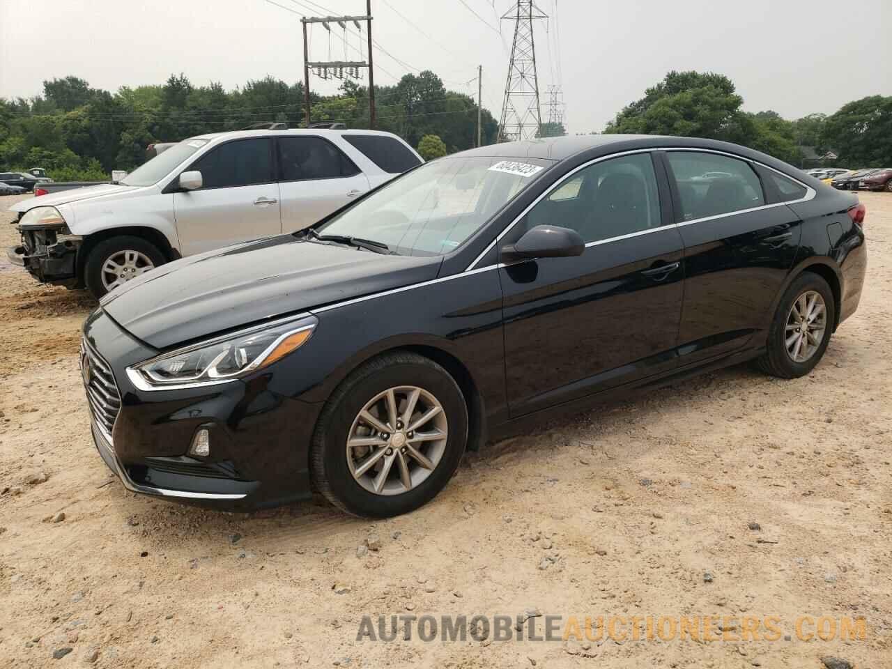 5NPE24AF1KH814044 HYUNDAI SONATA 2019