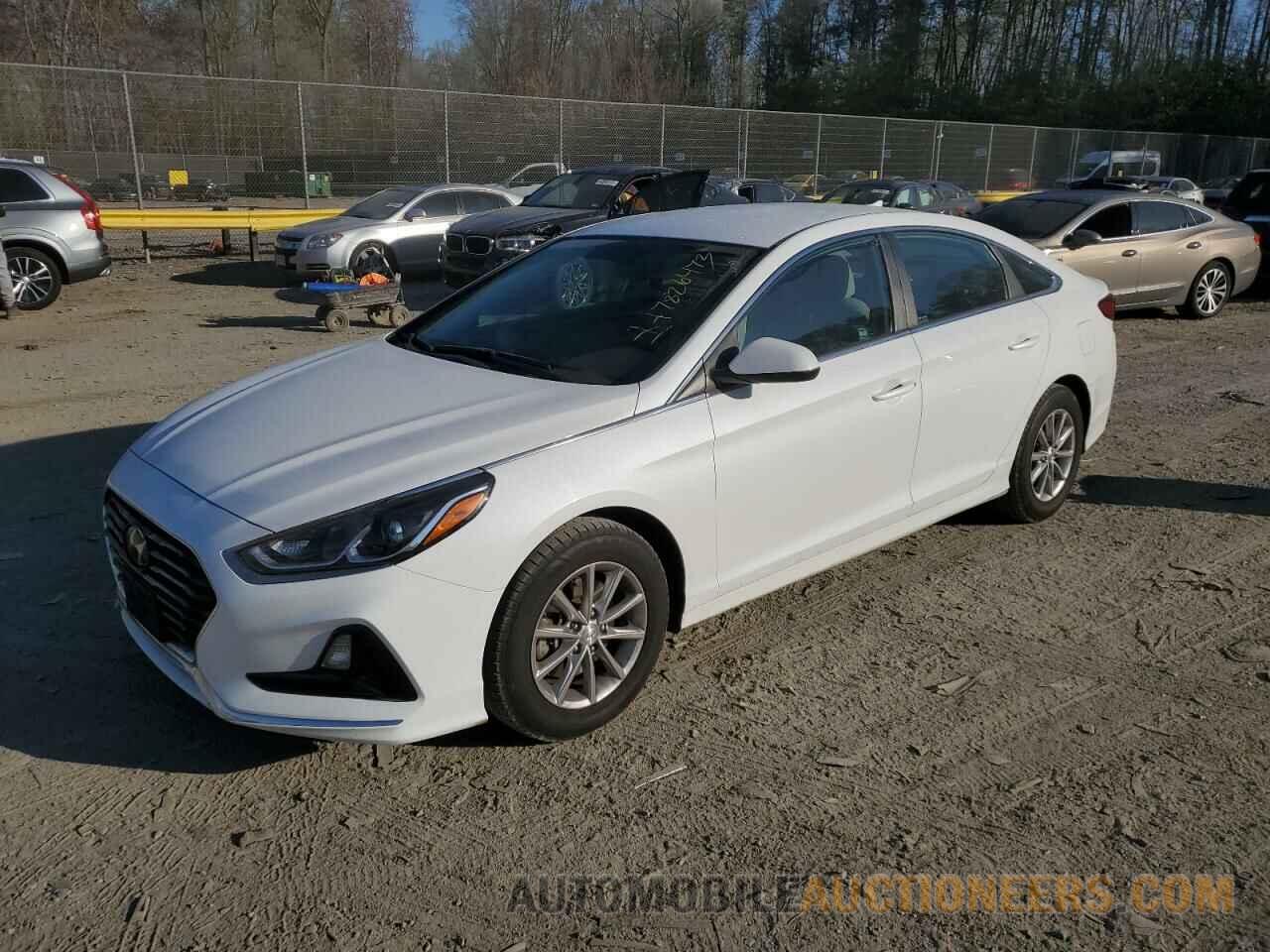 5NPE24AF2KH786772 HYUNDAI SONATA 2019