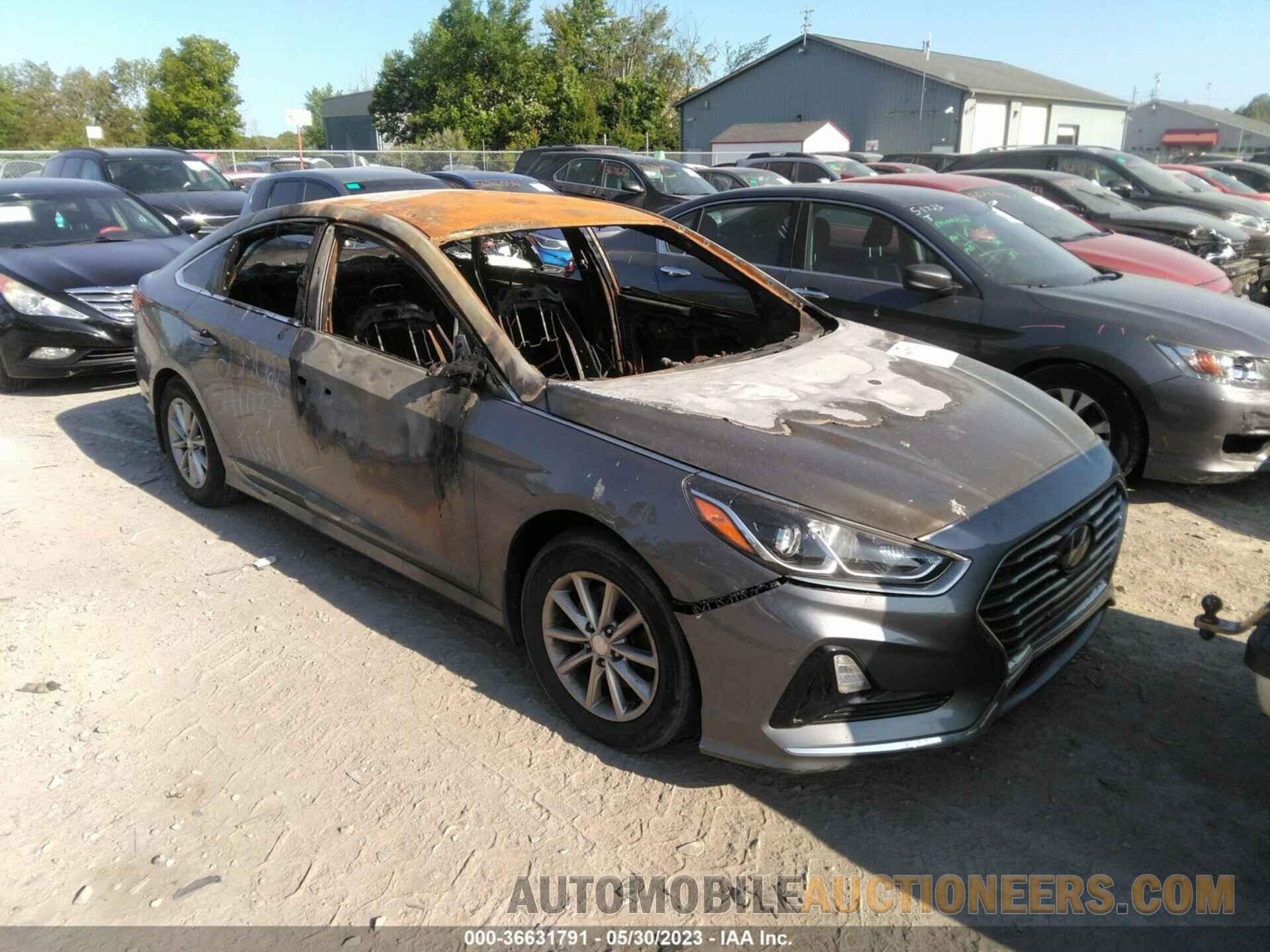 5NPE24AF2KH810634 HYUNDAI SONATA 2019