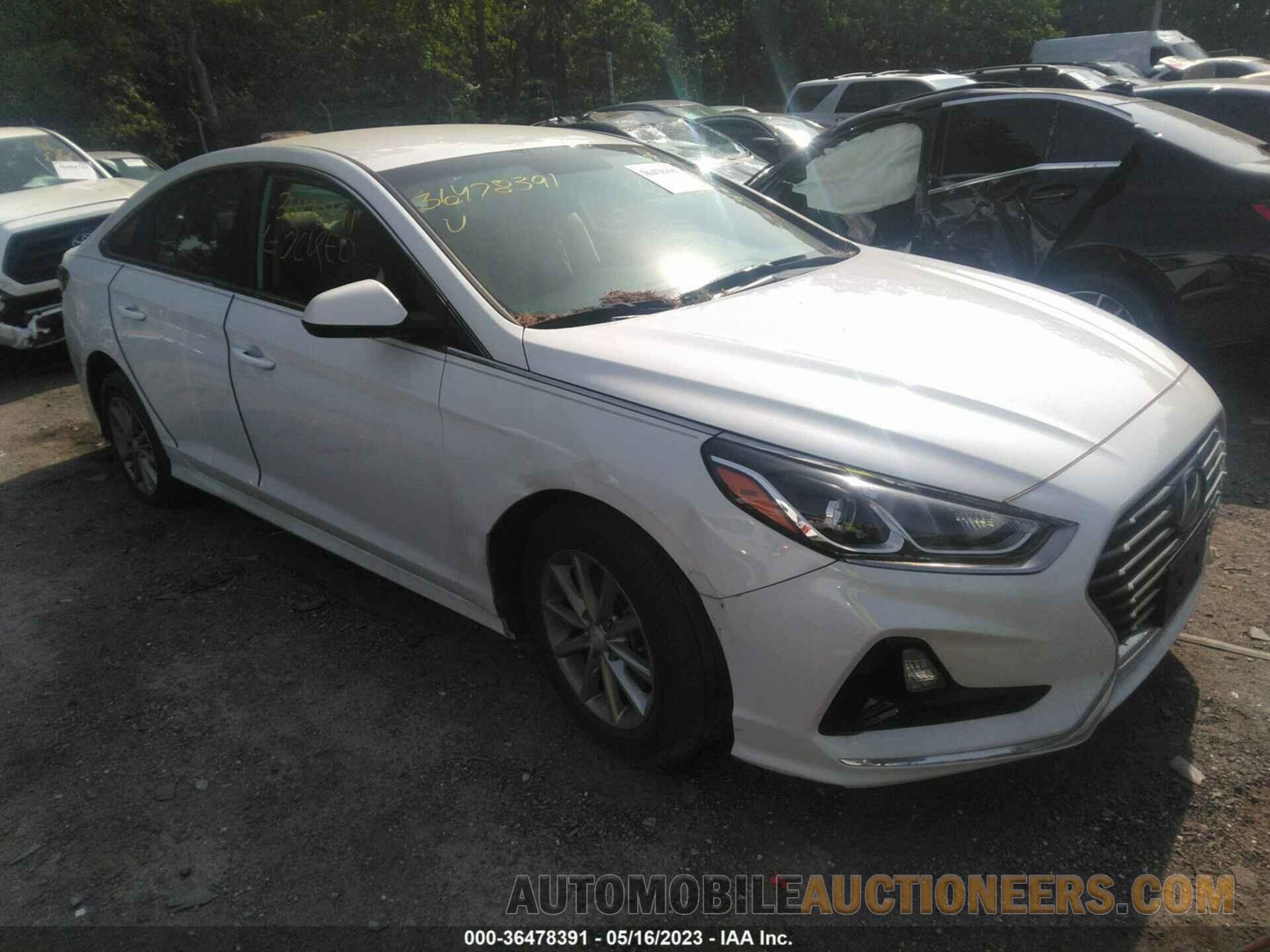 5NPE24AF3KH770533 HYUNDAI SONATA 2019