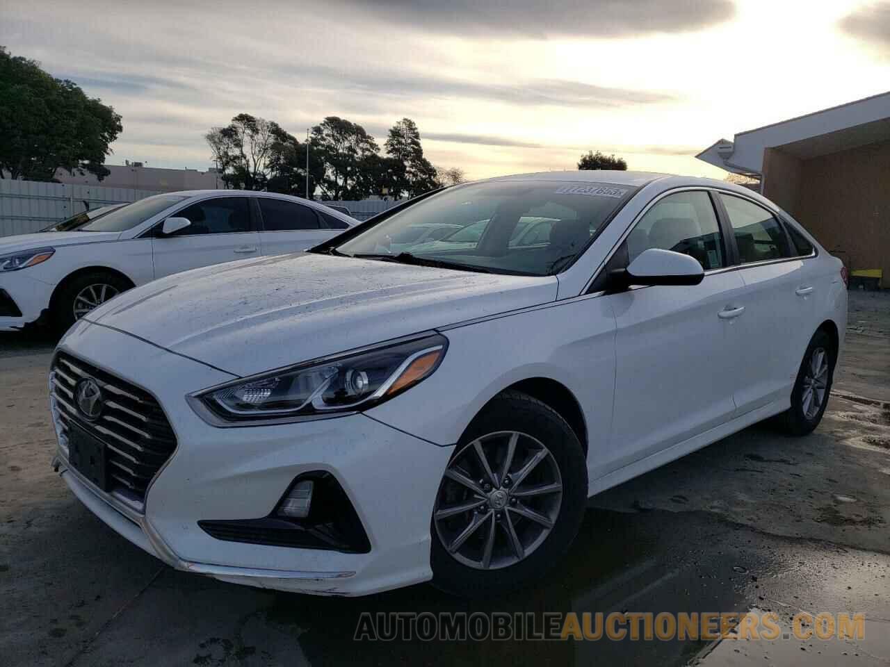 5NPE24AF4KH776230 HYUNDAI SONATA 2019