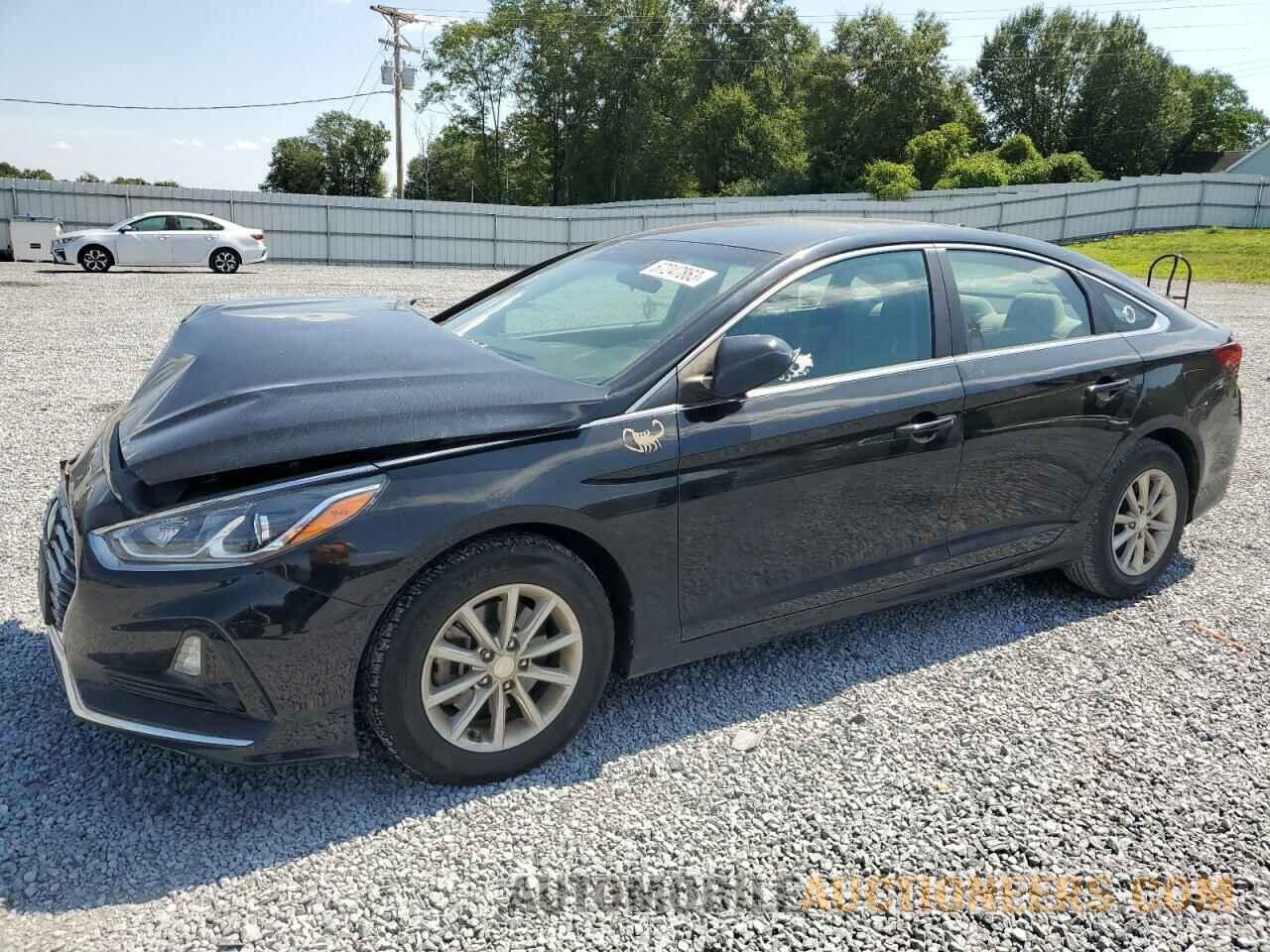 5NPE24AF4KH790533 HYUNDAI SONATA 2019