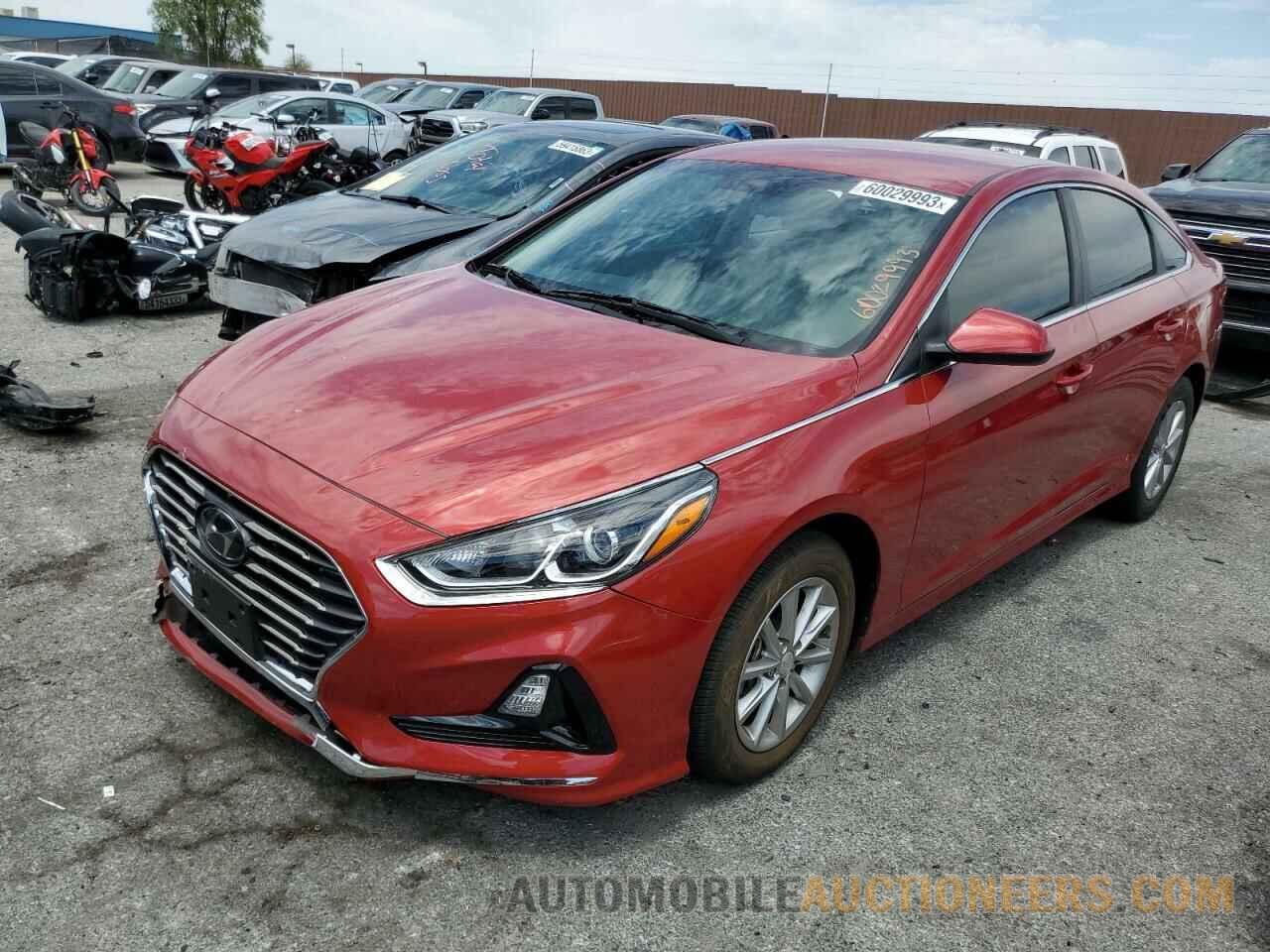 5NPE24AF4KH790967 HYUNDAI SONATA 2019