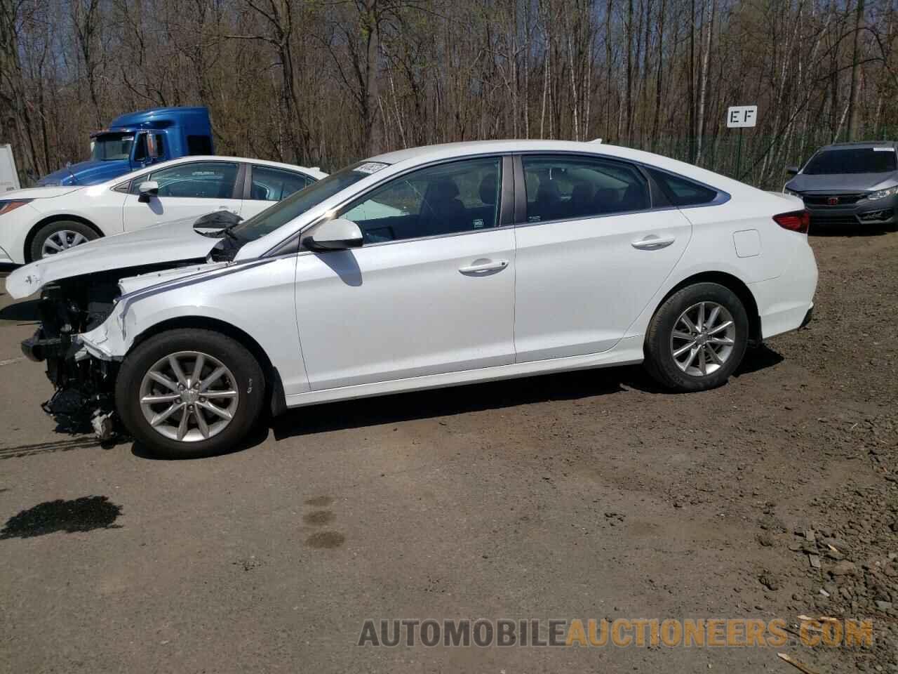 5NPE24AF4KH799491 HYUNDAI SONATA 2019