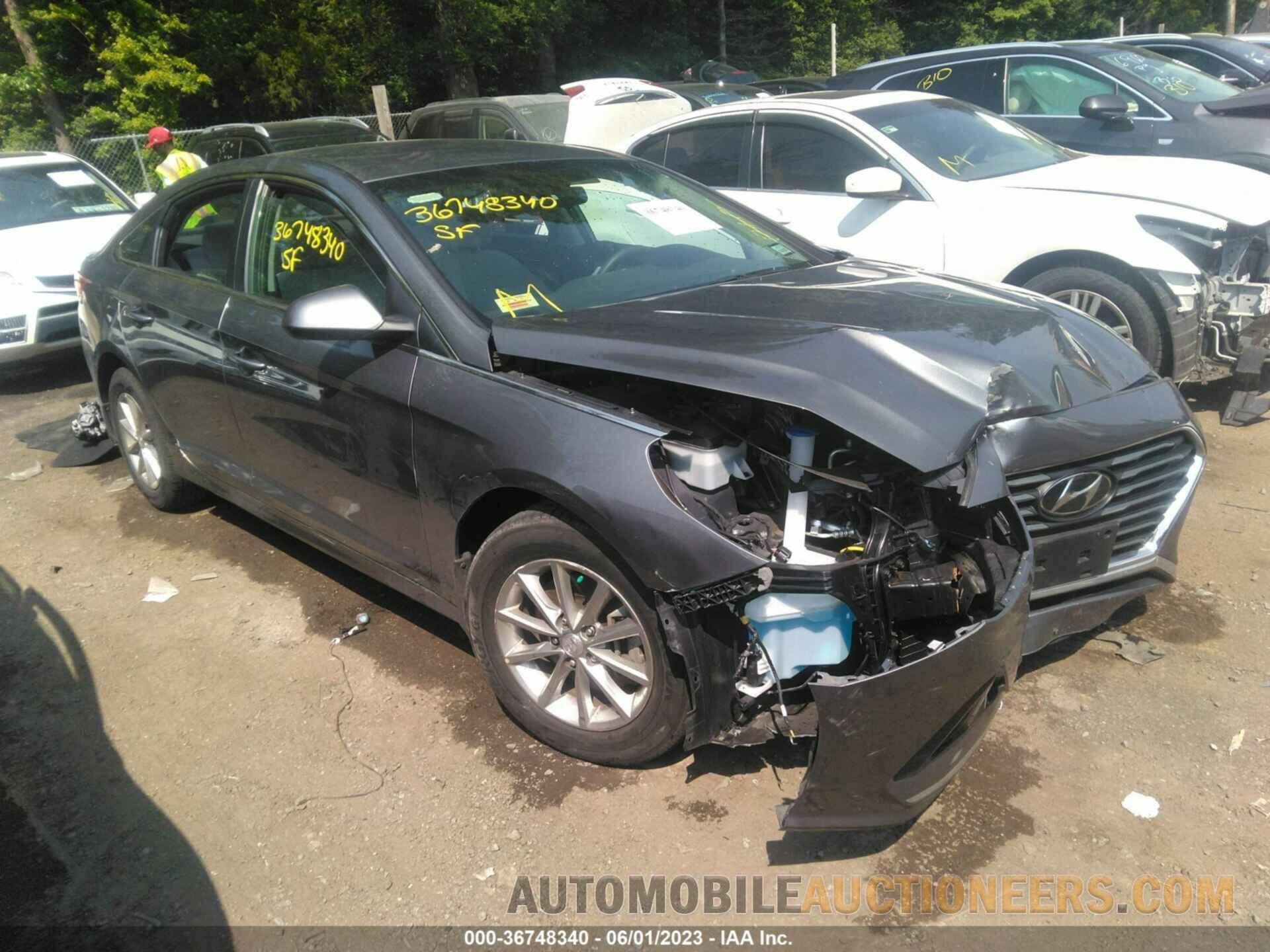 5NPE24AF4KH806116 HYUNDAI SONATA 2019