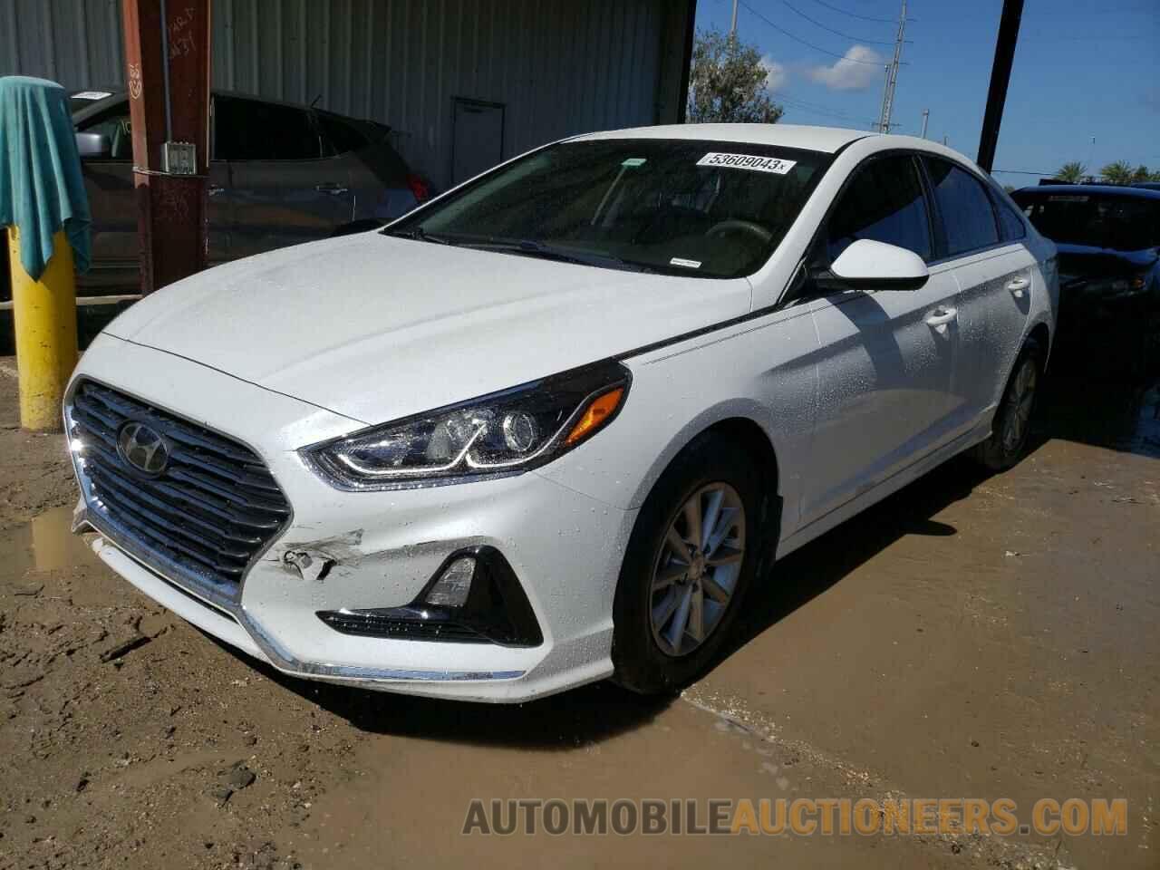 5NPE24AF4KH806892 HYUNDAI SONATA 2019