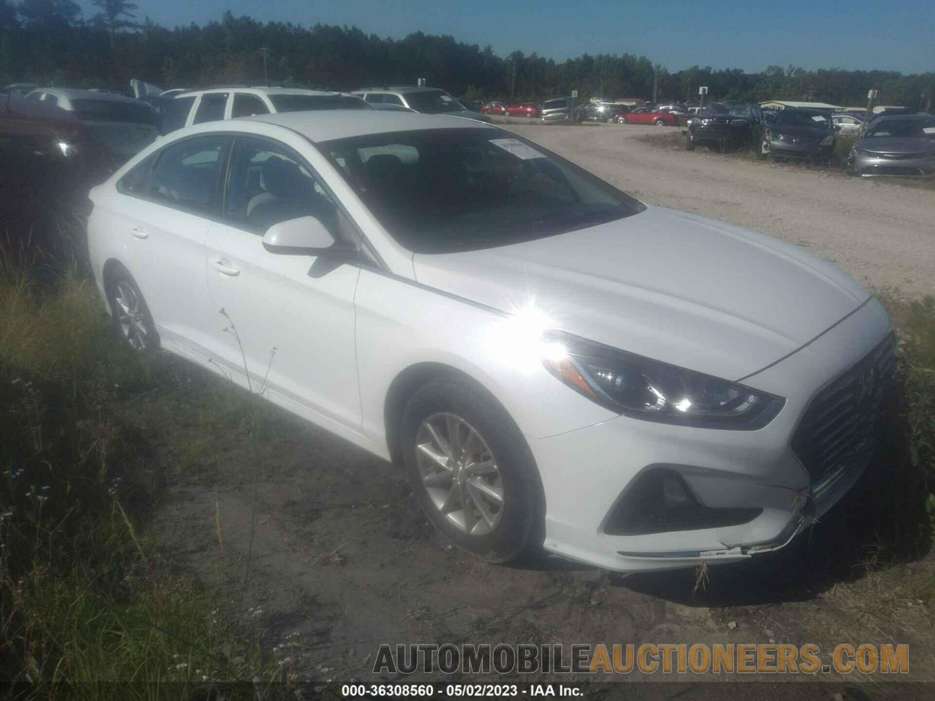 5NPE24AF5KH734262 HYUNDAI SONATA 2019