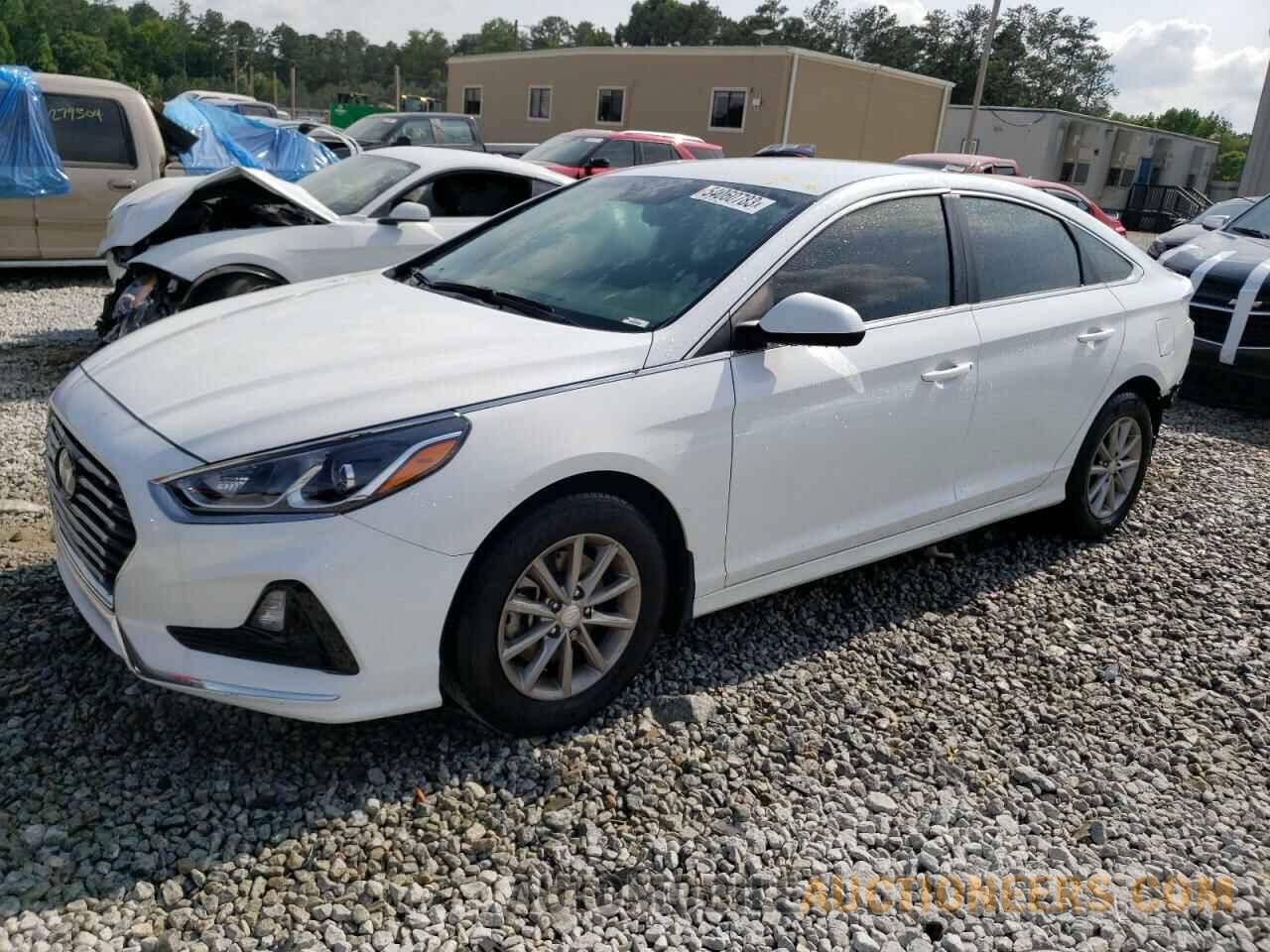 5NPE24AF5KH736223 HYUNDAI SONATA 2019