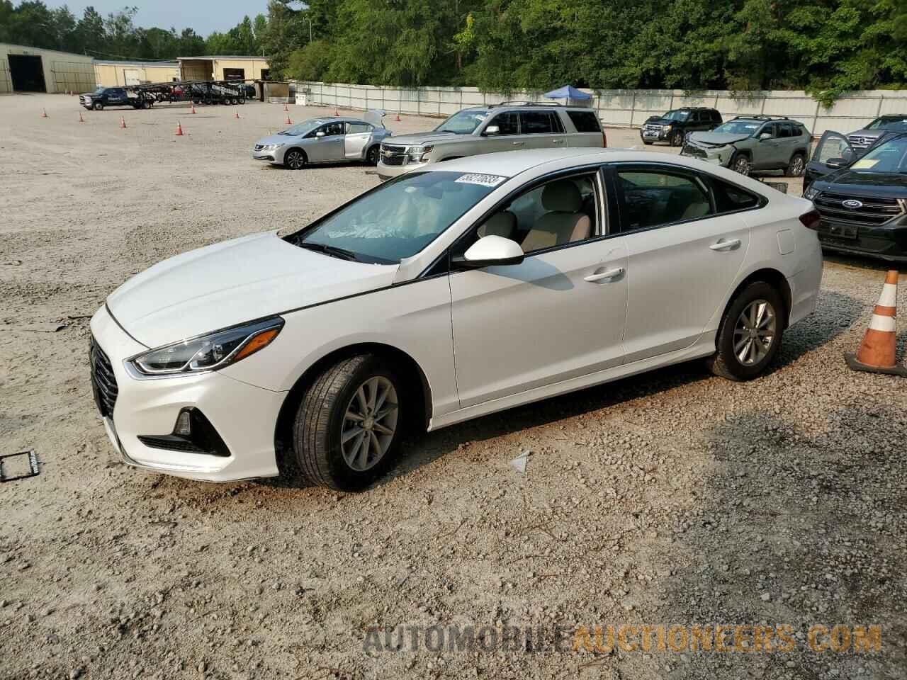 5NPE24AF5KH770257 HYUNDAI SONATA 2019