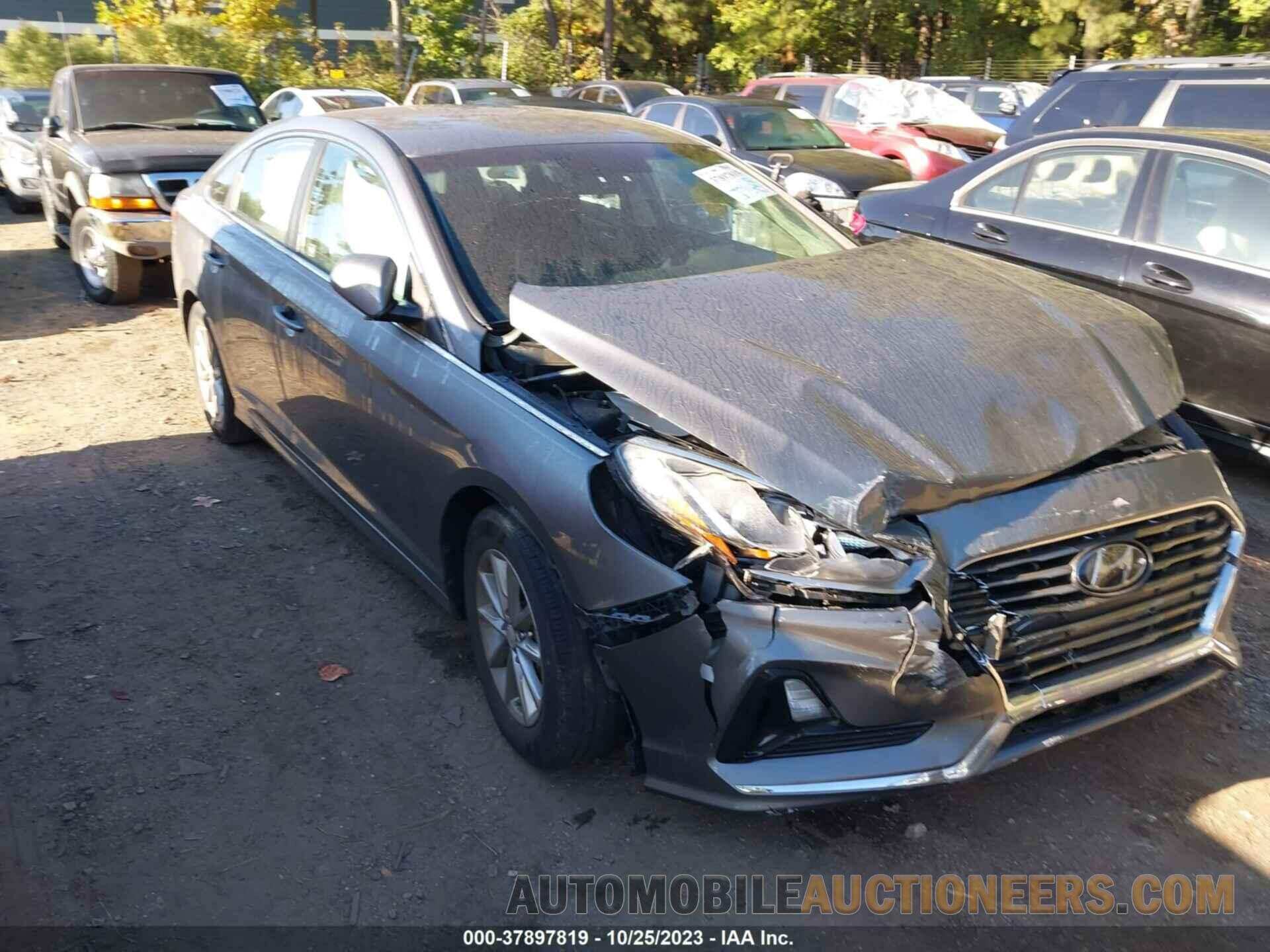 5NPE24AF5KH771019 HYUNDAI SONATA 2019