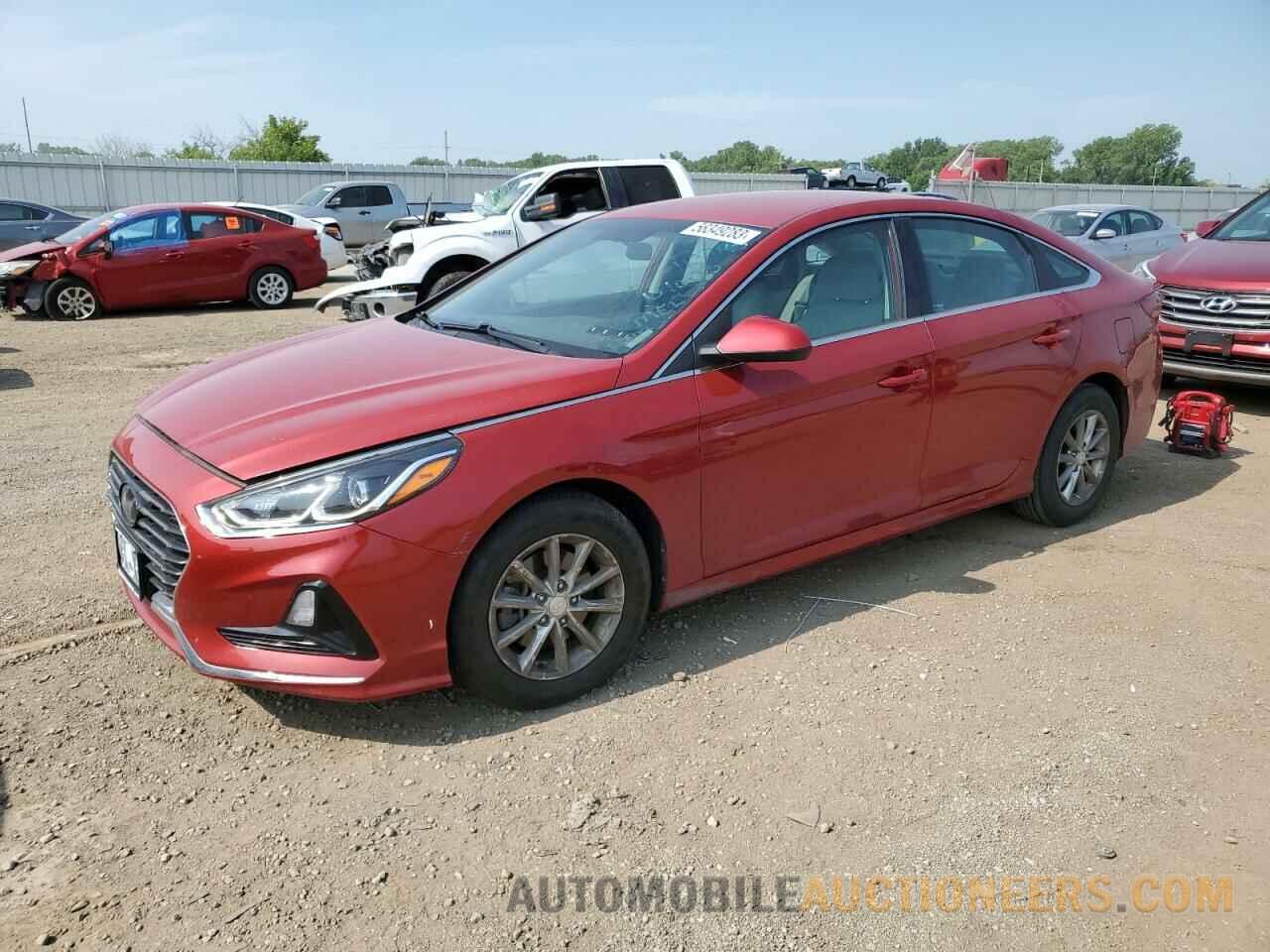 5NPE24AF5KH787236 HYUNDAI SONATA 2019