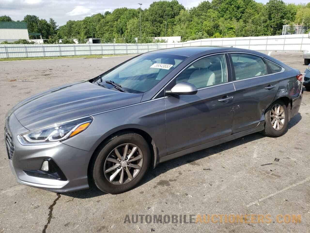 5NPE24AF5KH798043 HYUNDAI SONATA 2019