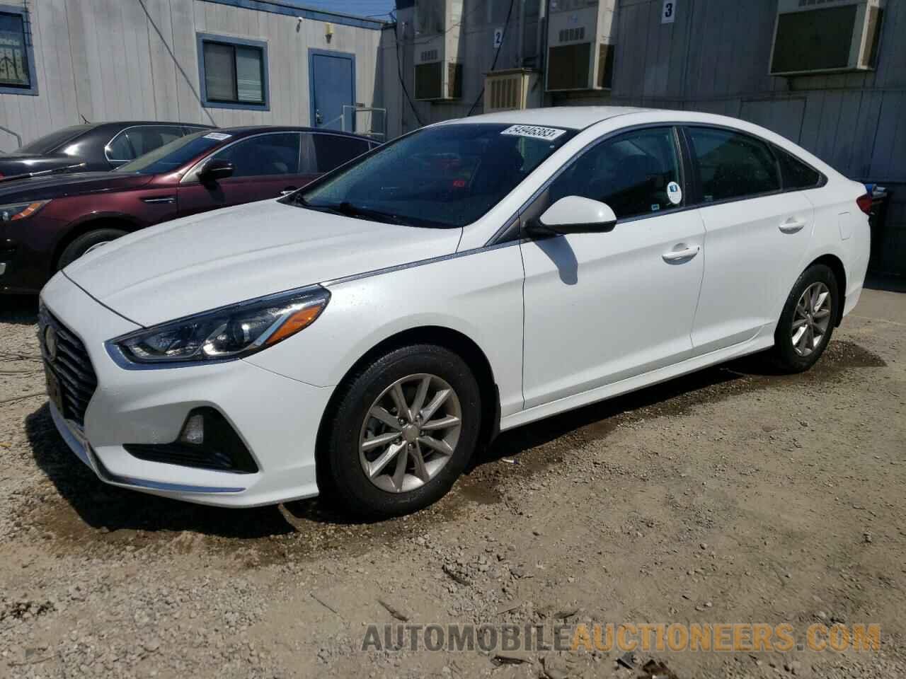 5NPE24AF5KH804701 HYUNDAI SONATA 2019