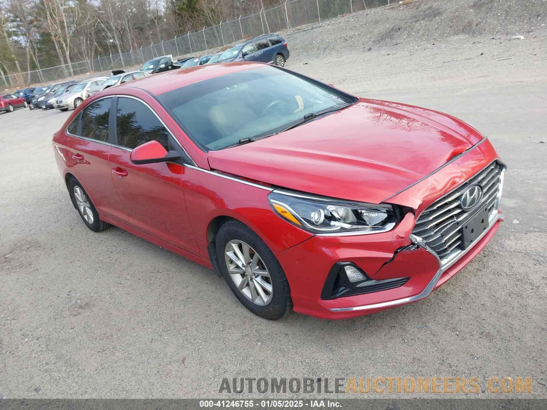 5NPE24AF5KH804794 HYUNDAI SONATA 2019