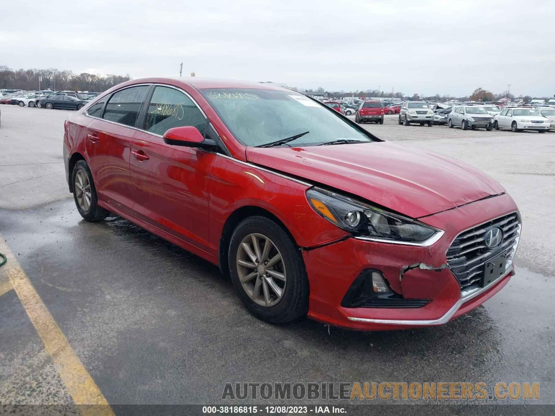 5NPE24AF5KH807260 HYUNDAI SONATA 2019