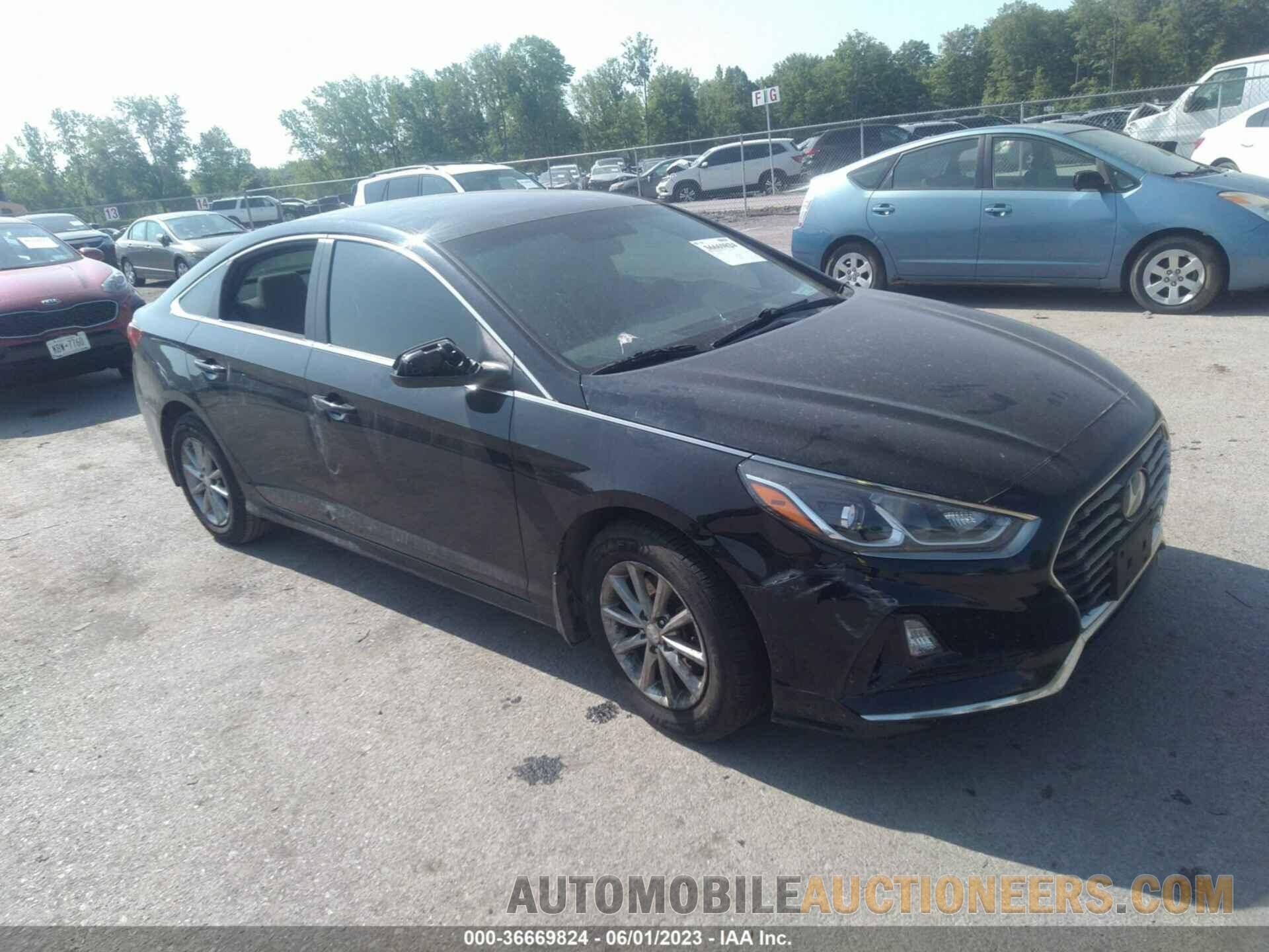 5NPE24AF6KH812001 HYUNDAI SONATA 2019