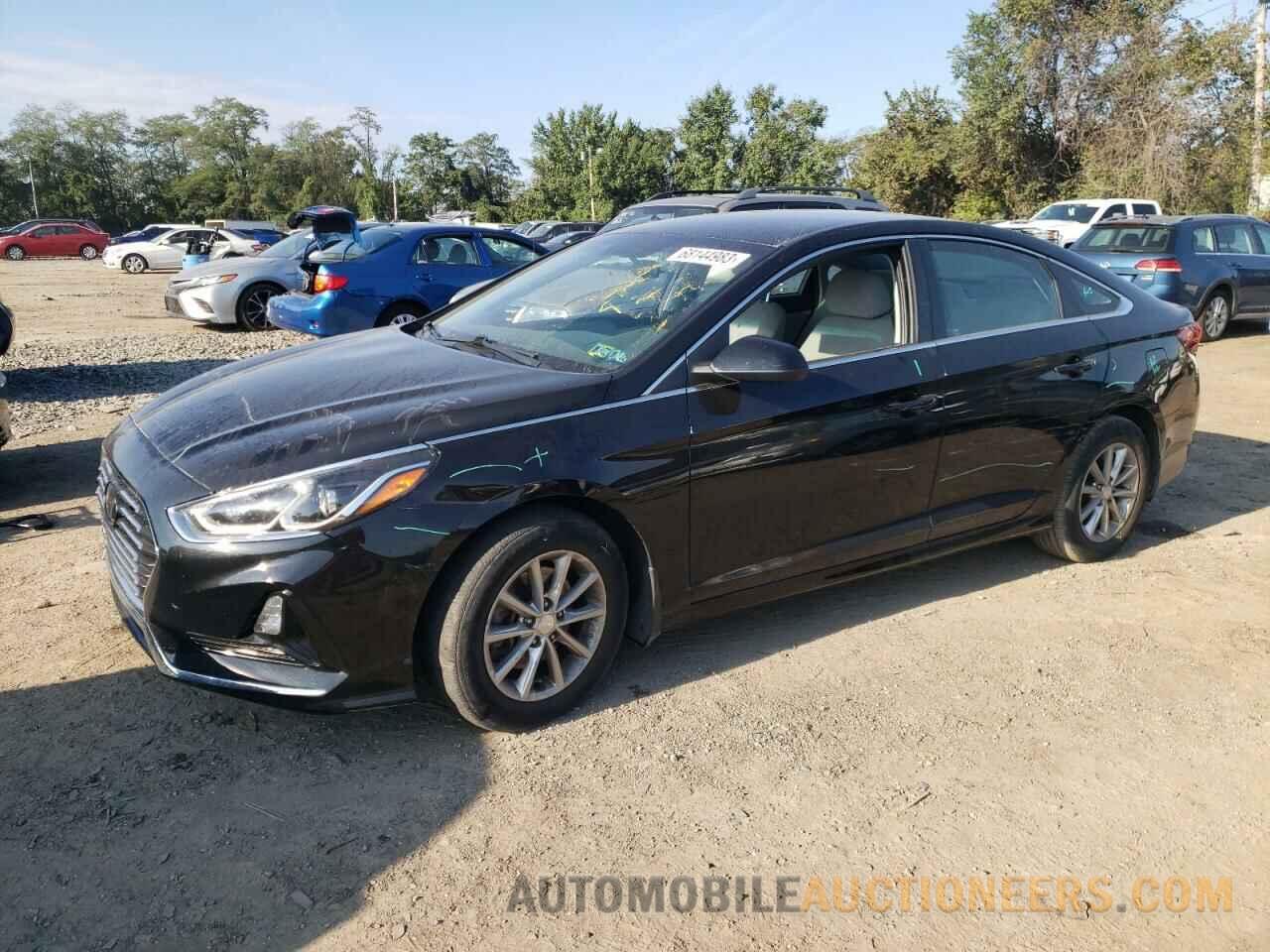 5NPE24AF6KH813083 HYUNDAI SONATA 2019