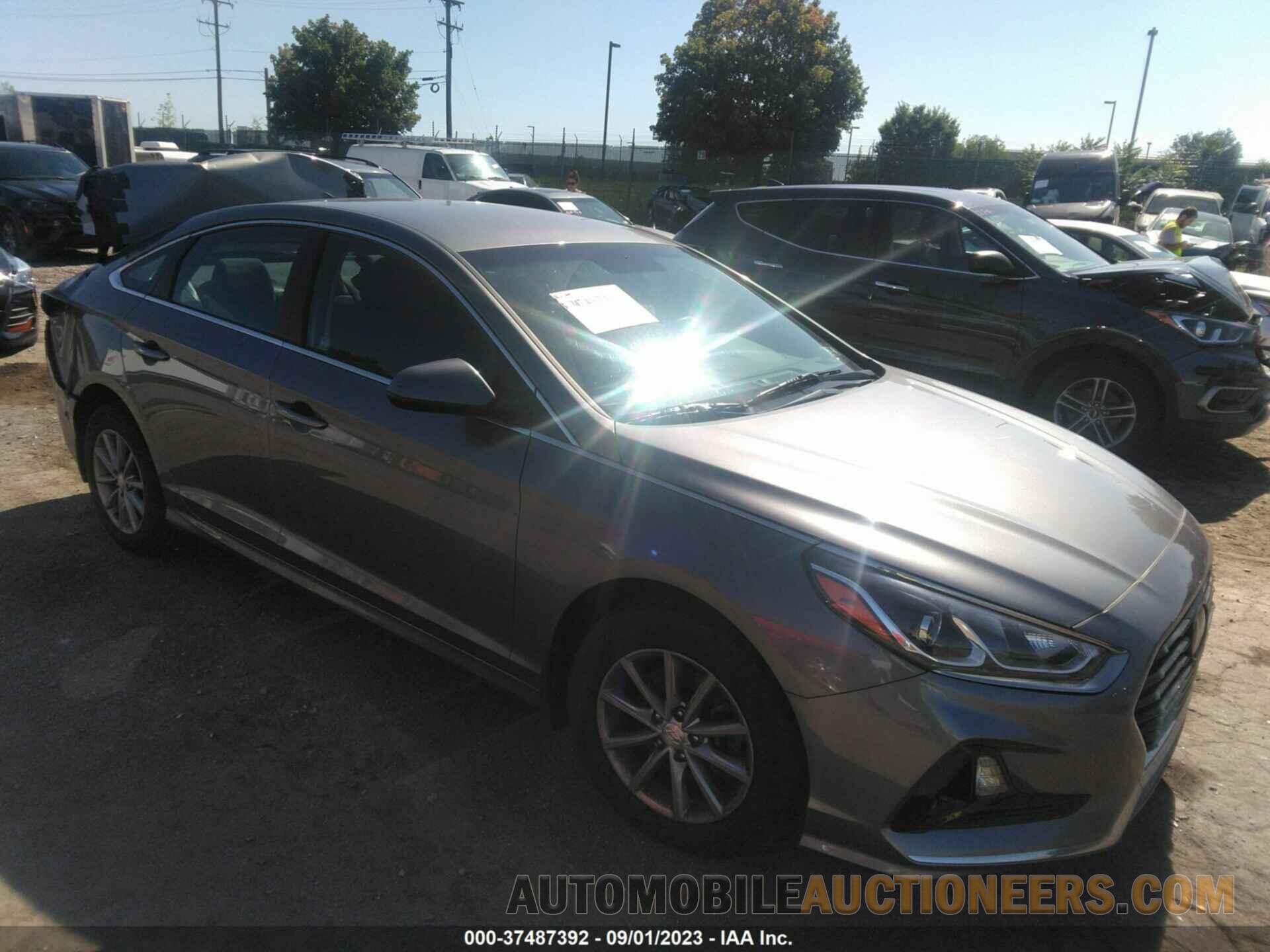 5NPE24AF7KH734019 HYUNDAI SONATA 2019