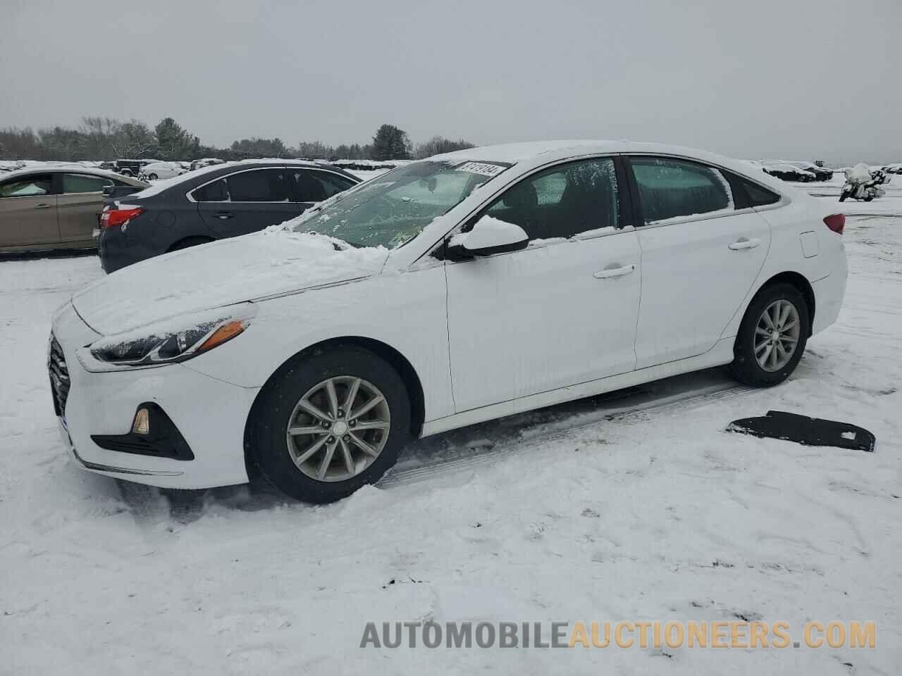 5NPE24AF7KH744422 HYUNDAI SONATA 2019