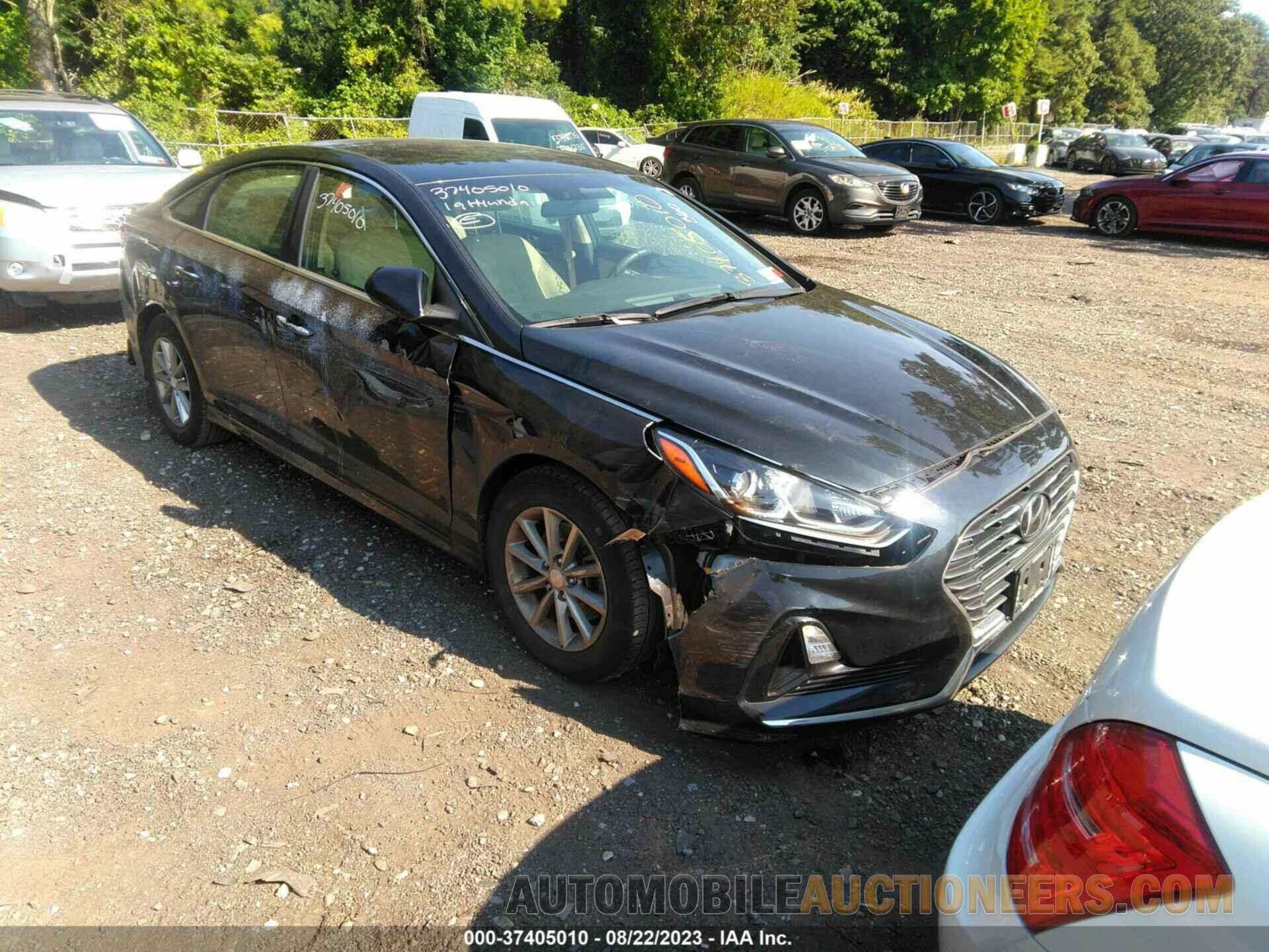 5NPE24AF7KH775878 HYUNDAI SONATA 2019