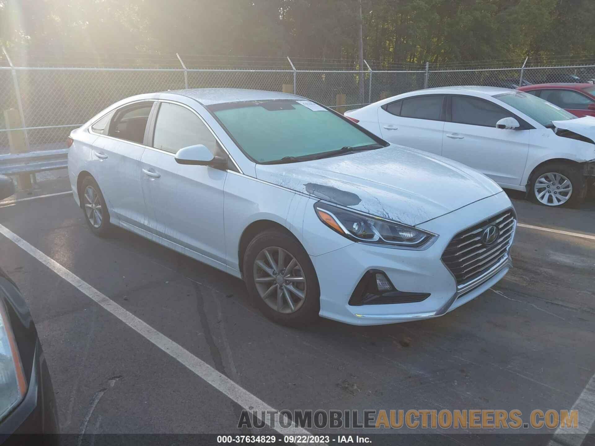 5NPE24AF8KH731923 HYUNDAI SONATA 2019