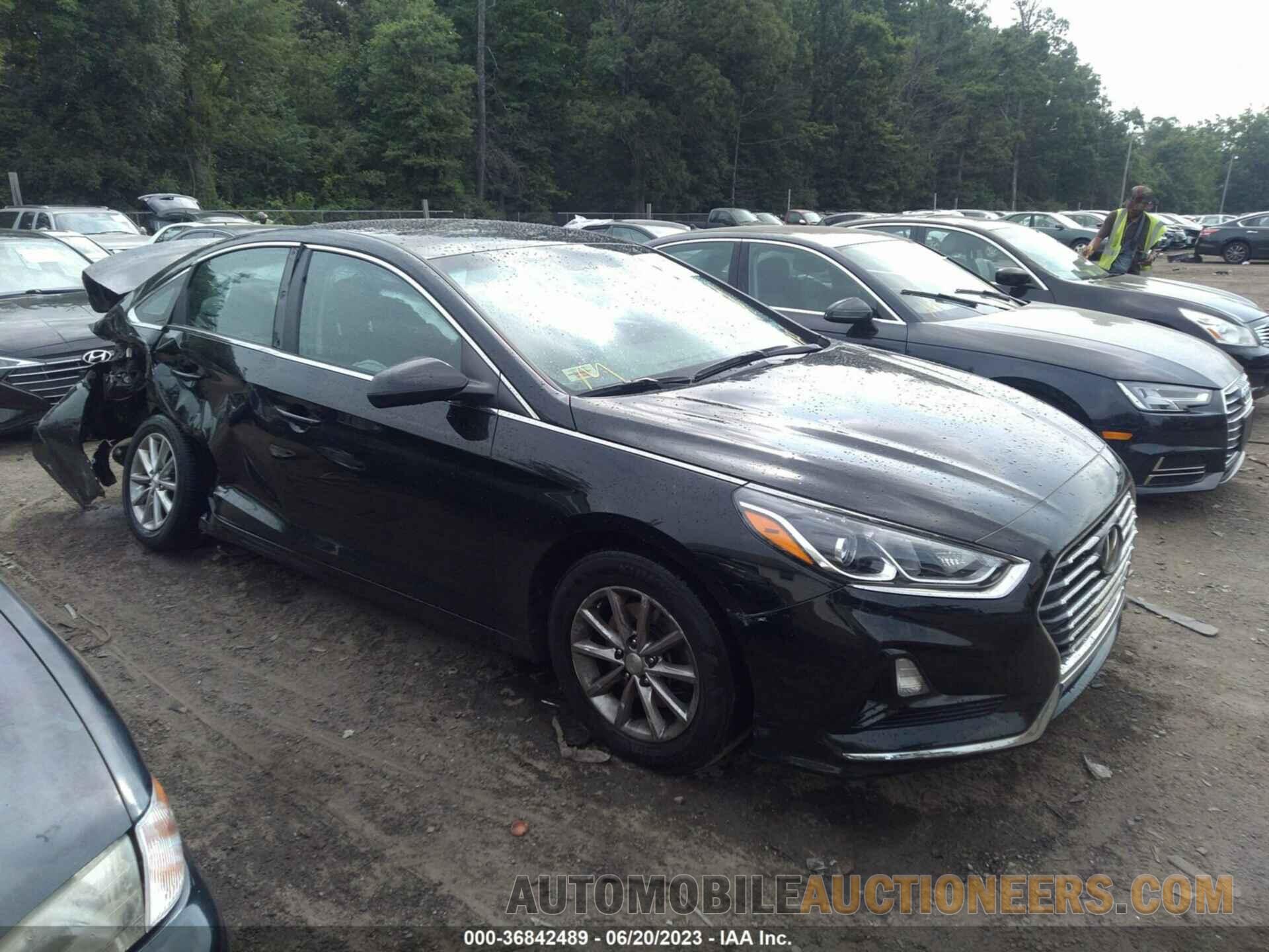 5NPE24AF8KH741934 HYUNDAI SONATA 2019