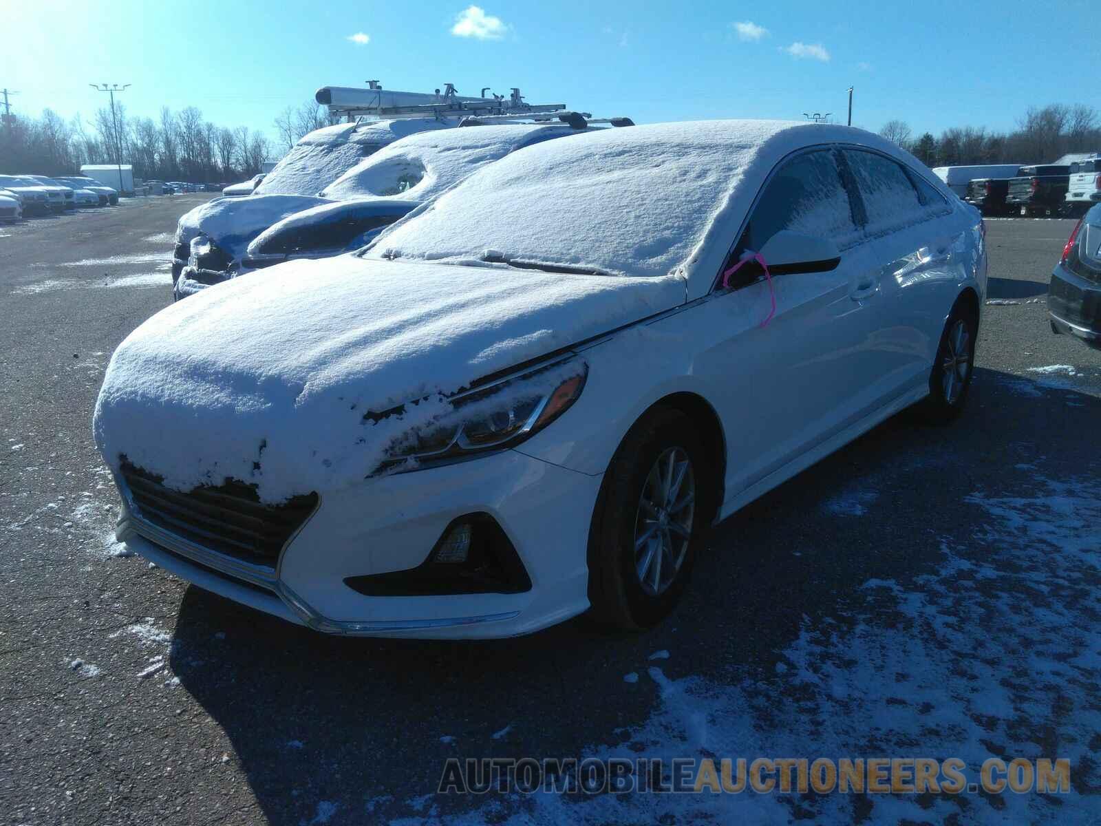 5NPE24AF8KH787988 Hyundai Sonata 2019