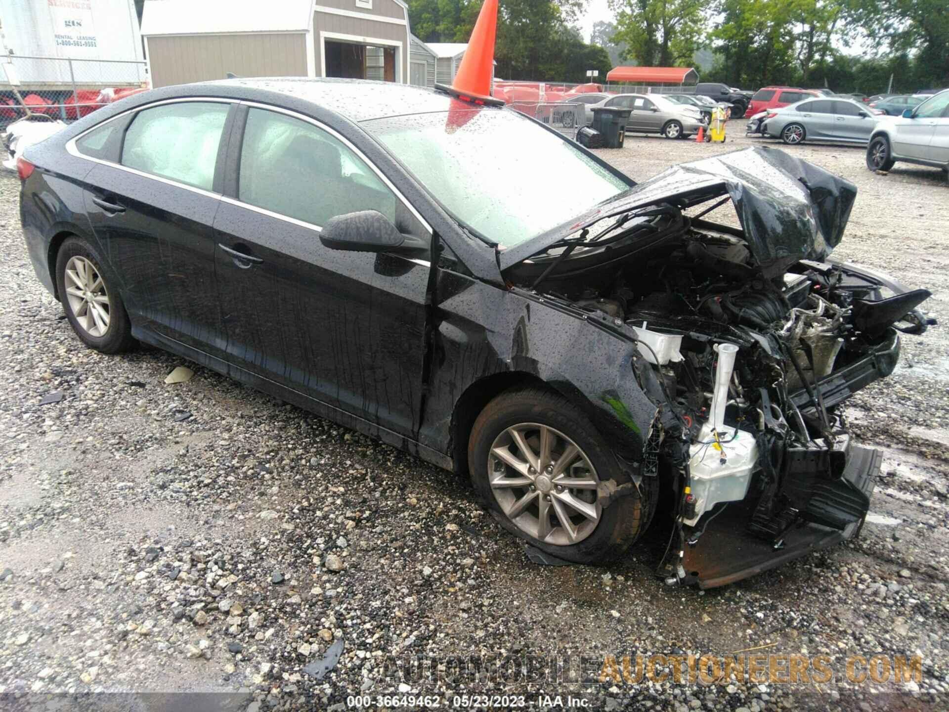 5NPE24AF8KH795766 HYUNDAI SONATA 2019