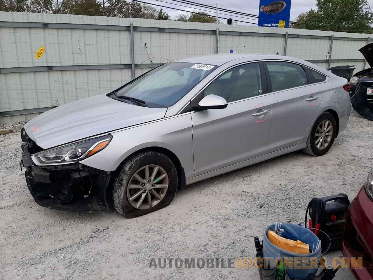 5NPE24AF9KH800280 HYUNDAI SONATA 2019