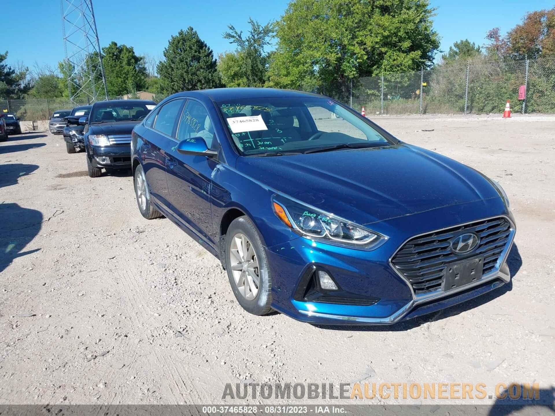 5NPE24AF9KH806211 HYUNDAI SONATA 2019