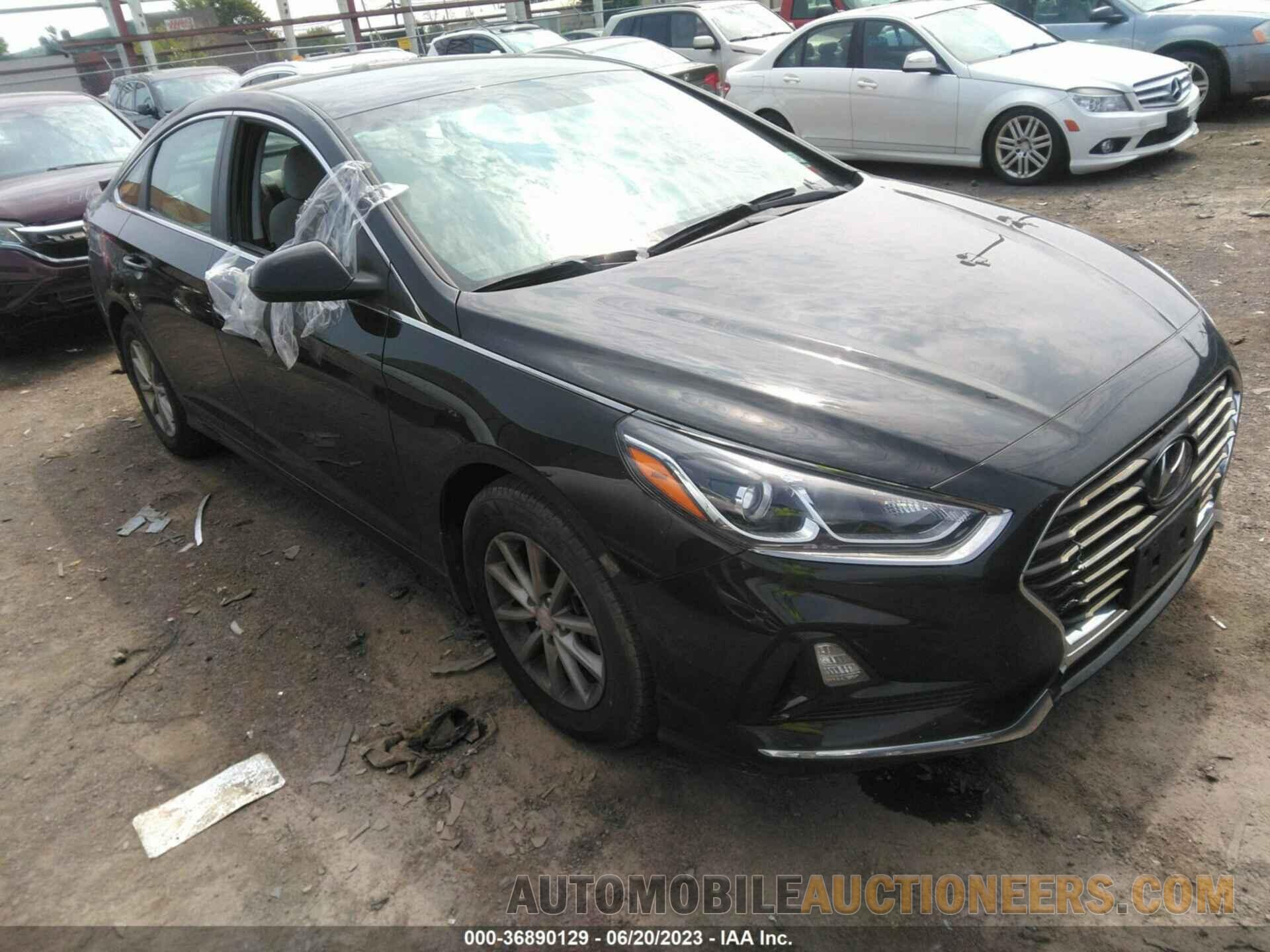 5NPE24AFXKH801194 HYUNDAI SONATA 2019