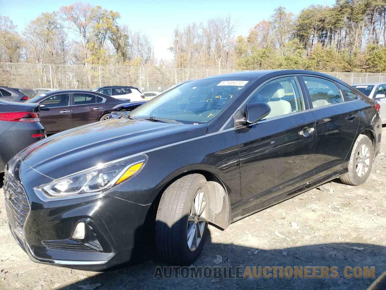 5NPE24AFXKH801387 HYUNDAI SONATA 2019