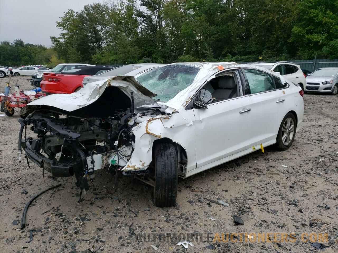 5NPE34AF0JH601372 HYUNDAI SONATA 2018