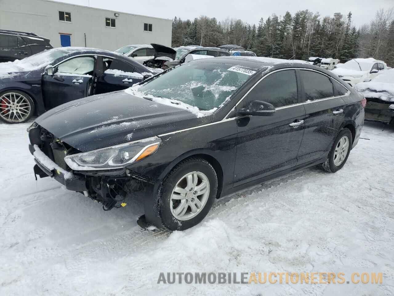 5NPE34AF0KH764377 HYUNDAI SONATA 2019