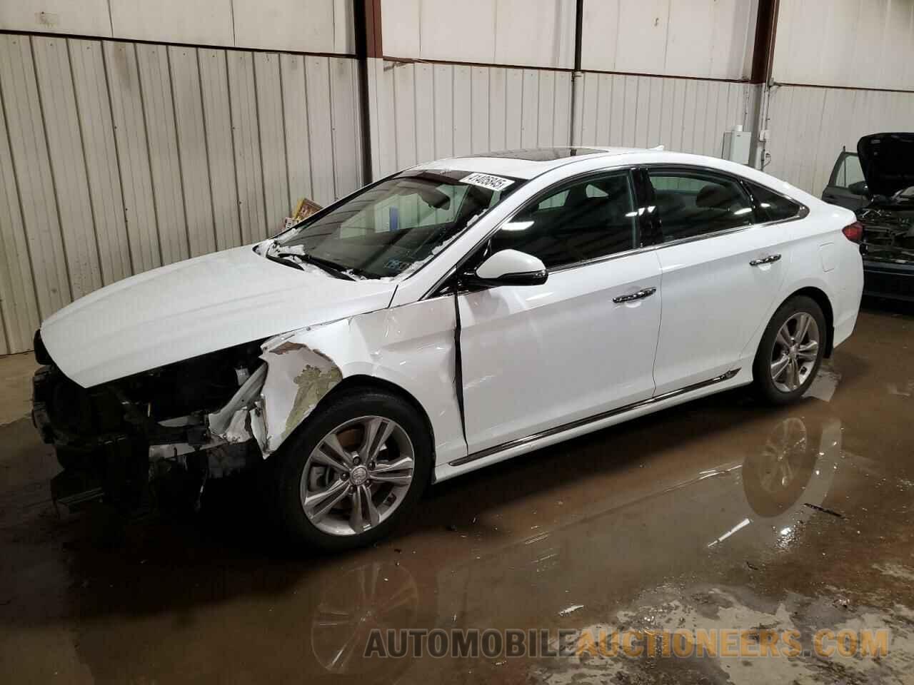 5NPE34AF1KH773184 HYUNDAI SONATA 2019