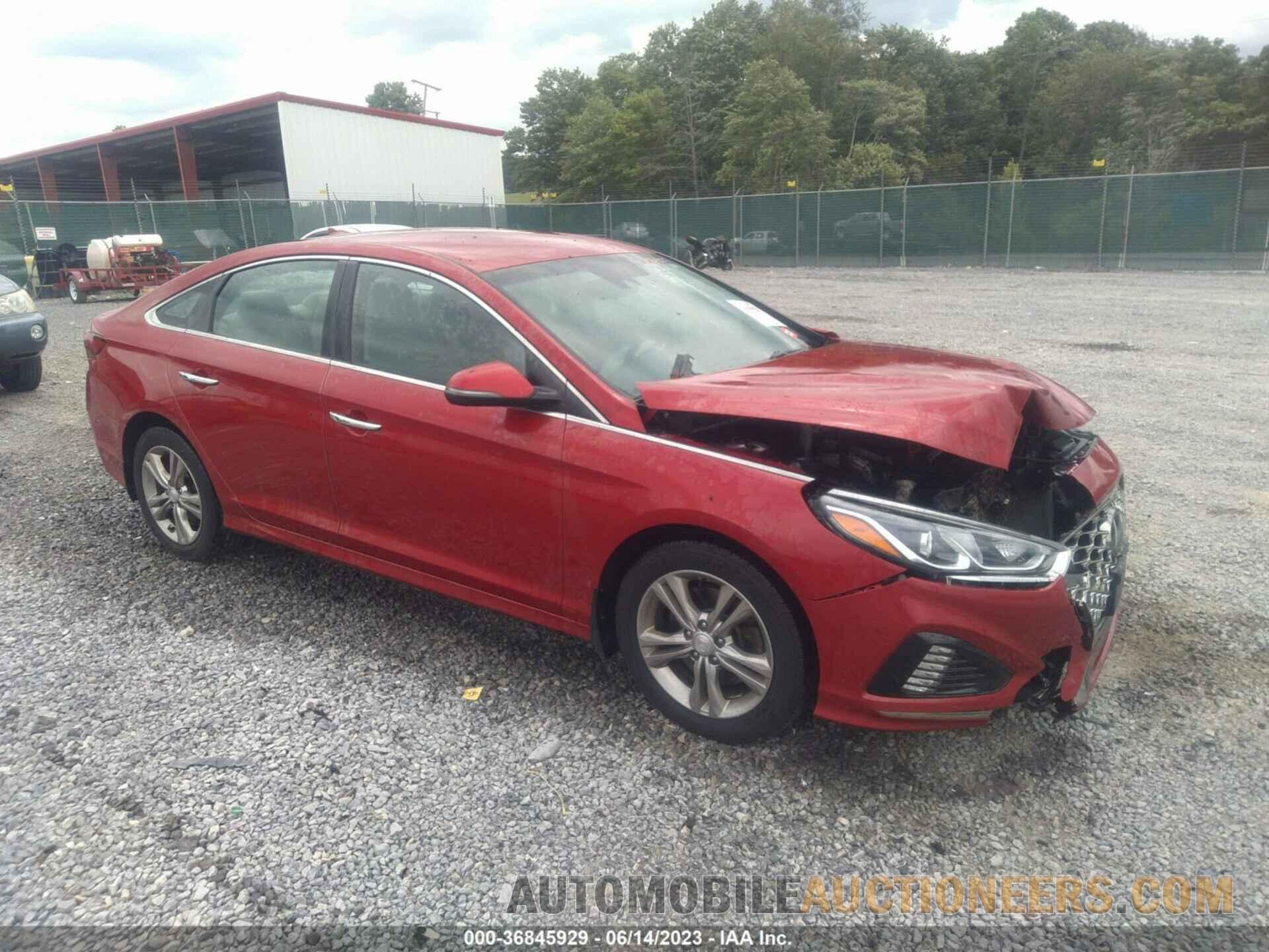 5NPE34AF3KH800367 HYUNDAI SONATA 2019