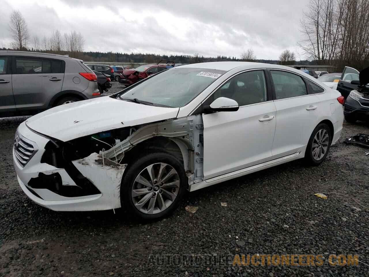 5NPE34AF4GH268229 HYUNDAI SONATA 2016