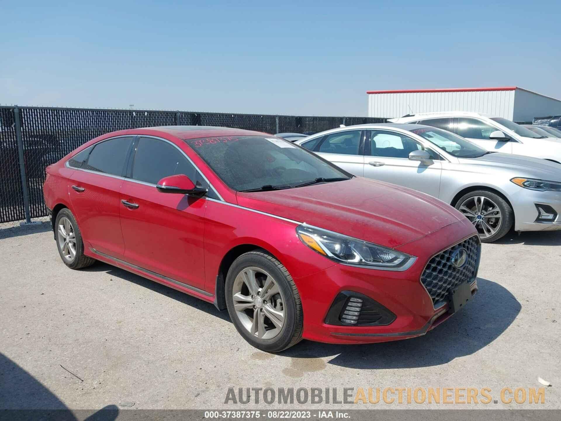 5NPE34AF4KH769601 HYUNDAI SONATA 2019