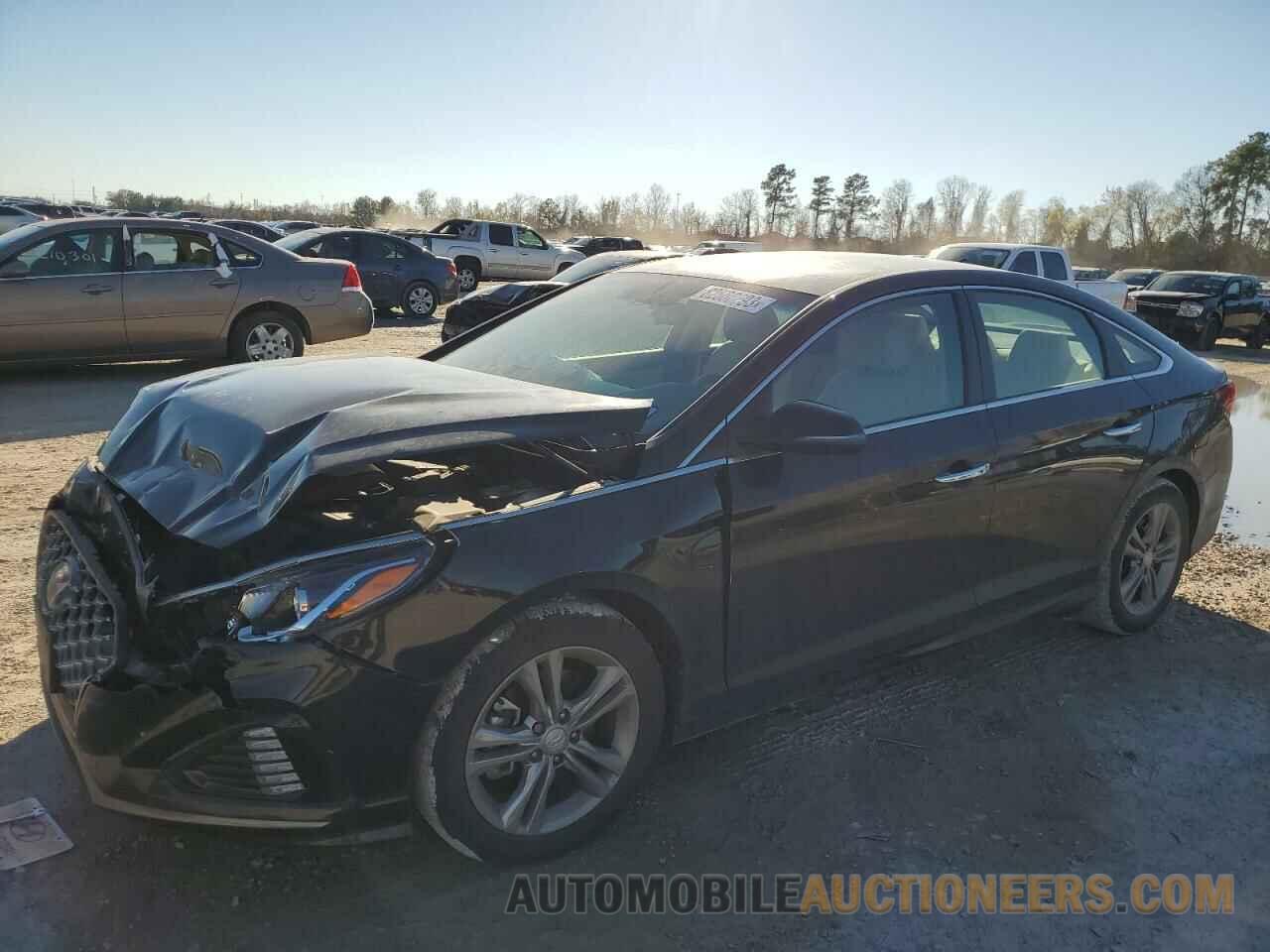 5NPE34AF5KH795902 HYUNDAI SONATA 2019