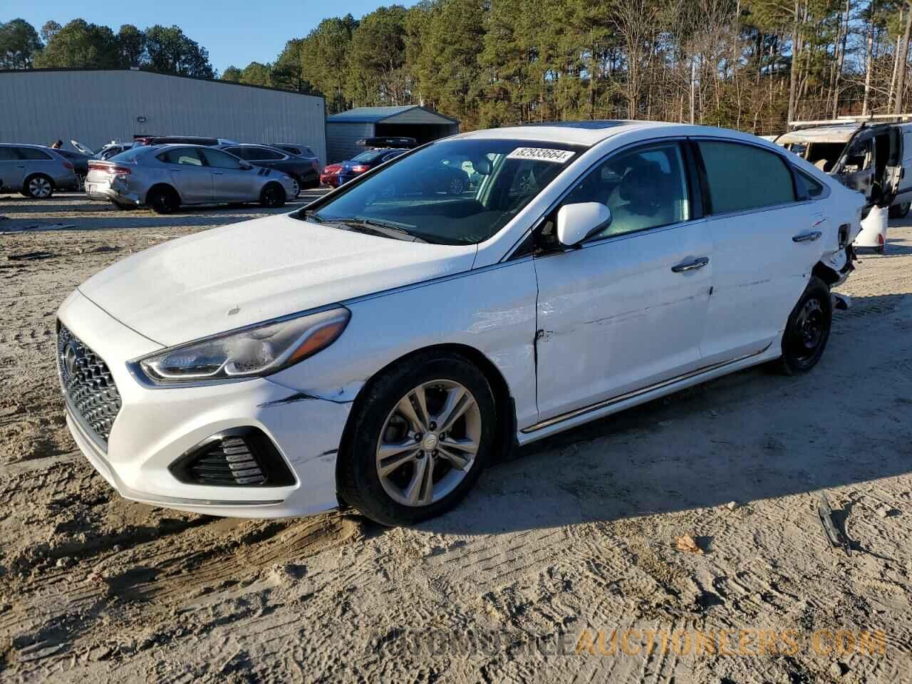 5NPE34AF6KH812402 HYUNDAI SONATA 2019