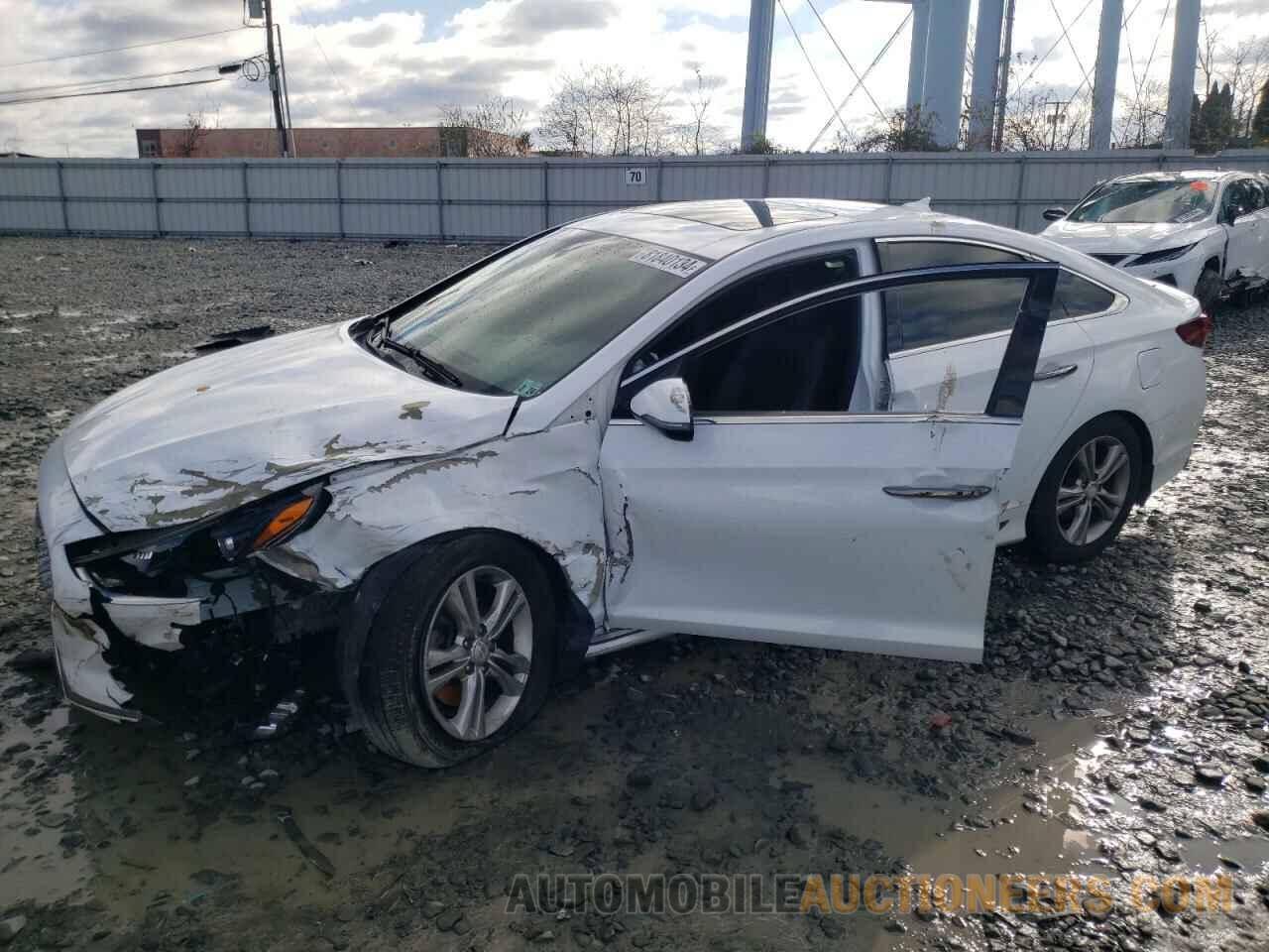 5NPE34AF7KH773187 HYUNDAI SONATA 2019