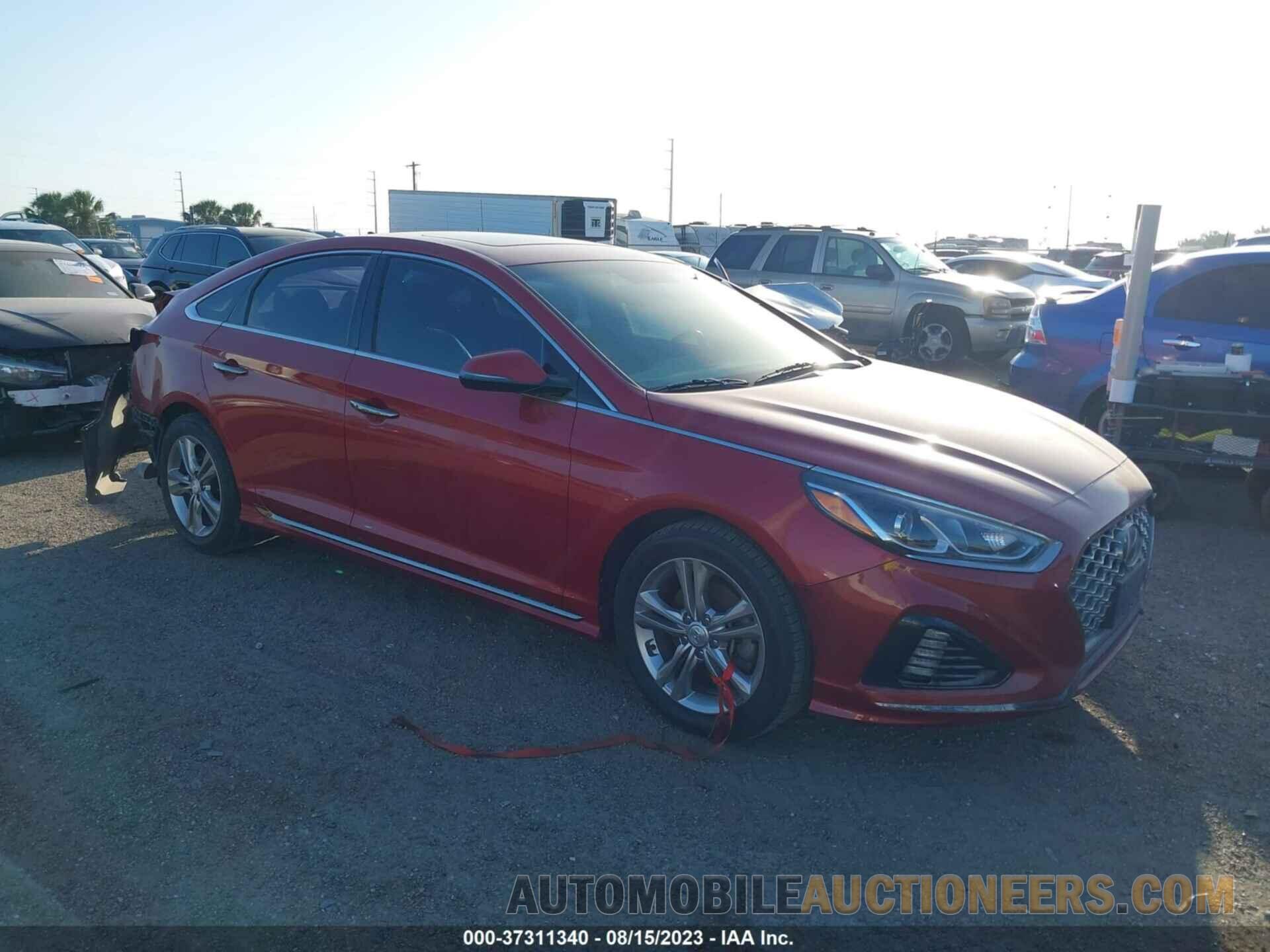 5NPE34AF7KH808391 HYUNDAI SONATA 2019